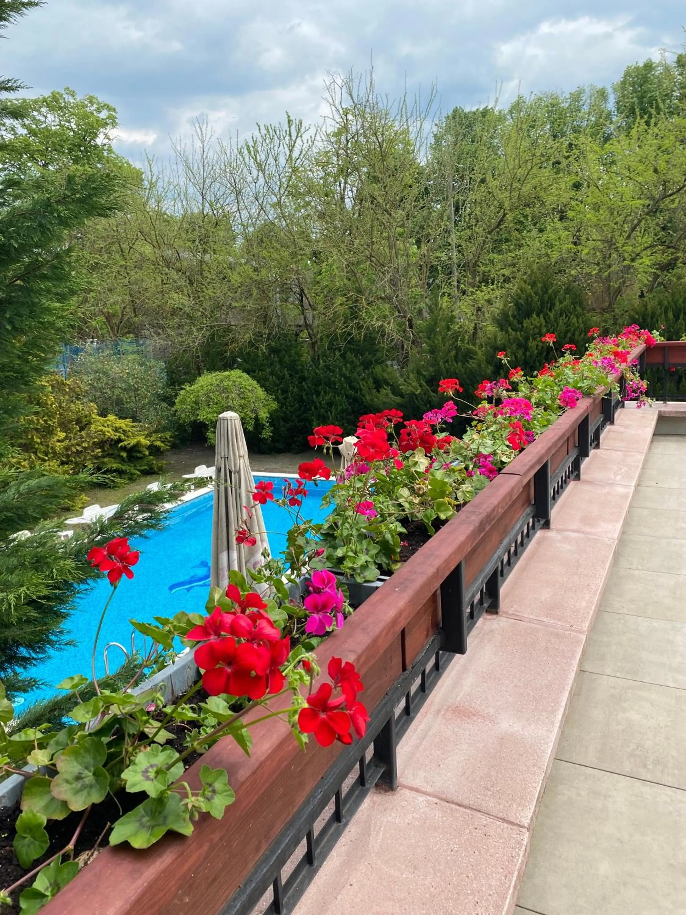 Swimming pool in Főnix Hotel
