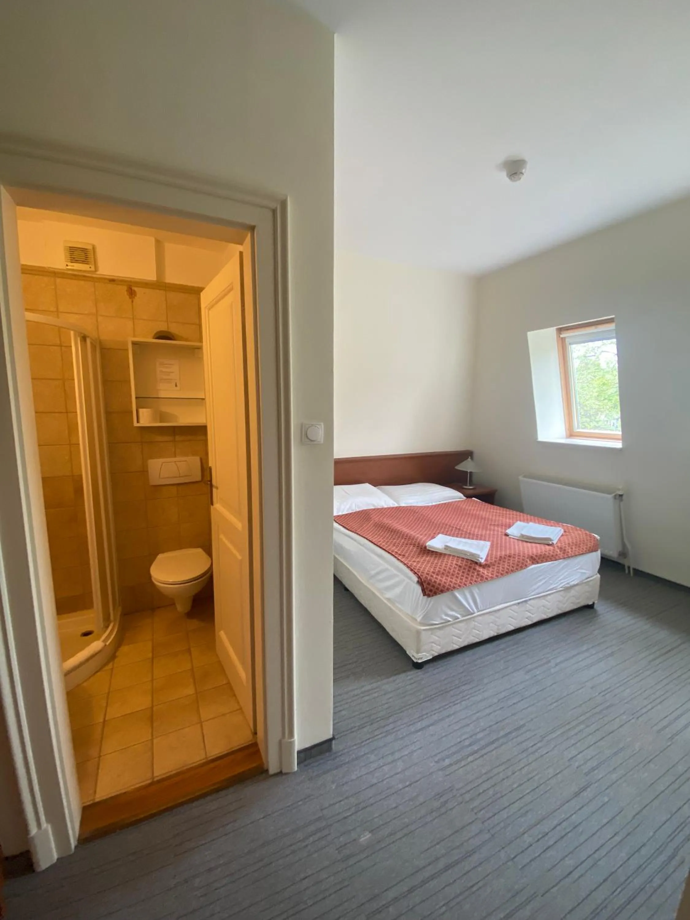 Photo of the whole room in Főnix Hotel