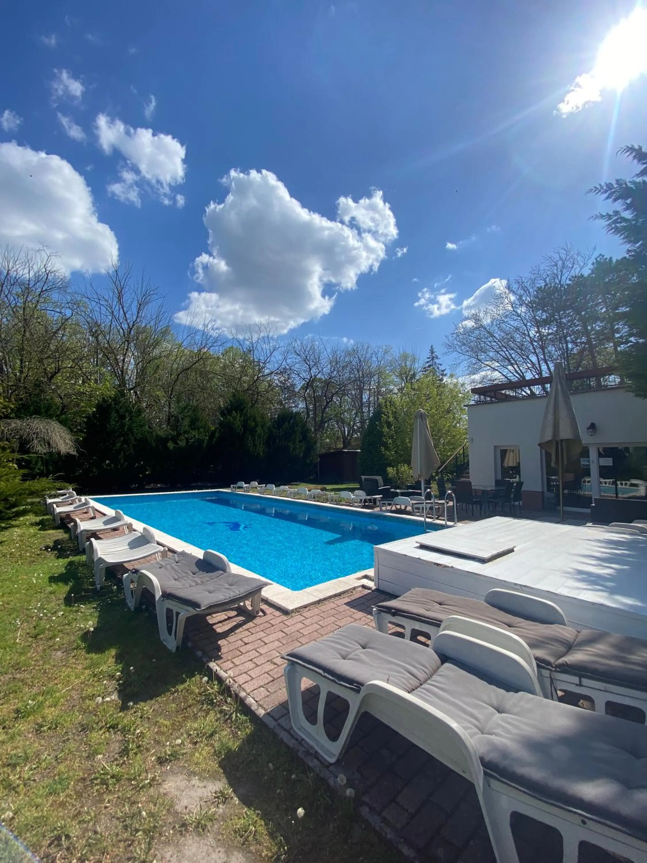 Swimming pool in Főnix Hotel