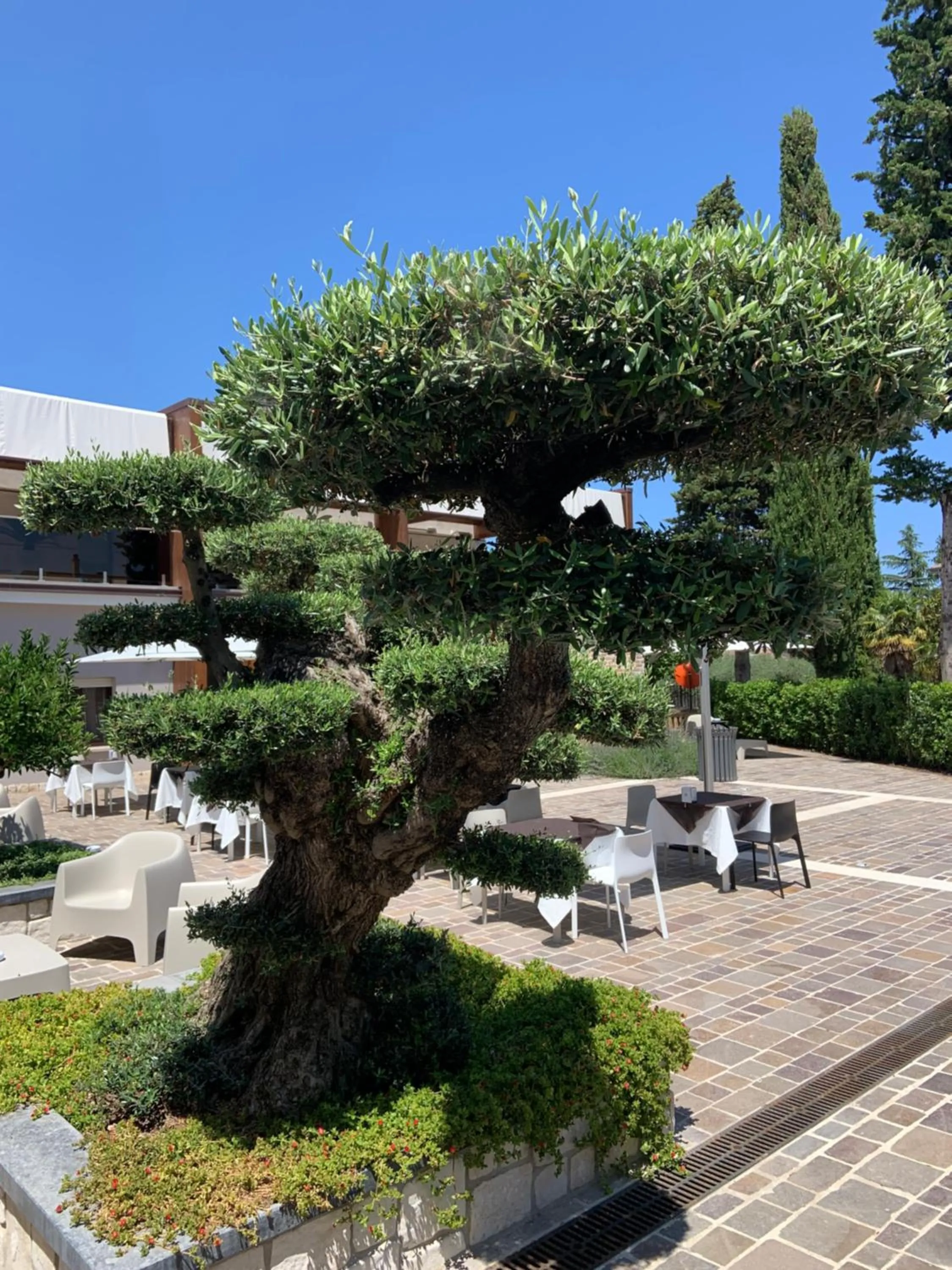 Garden in Tenuta Micoli
