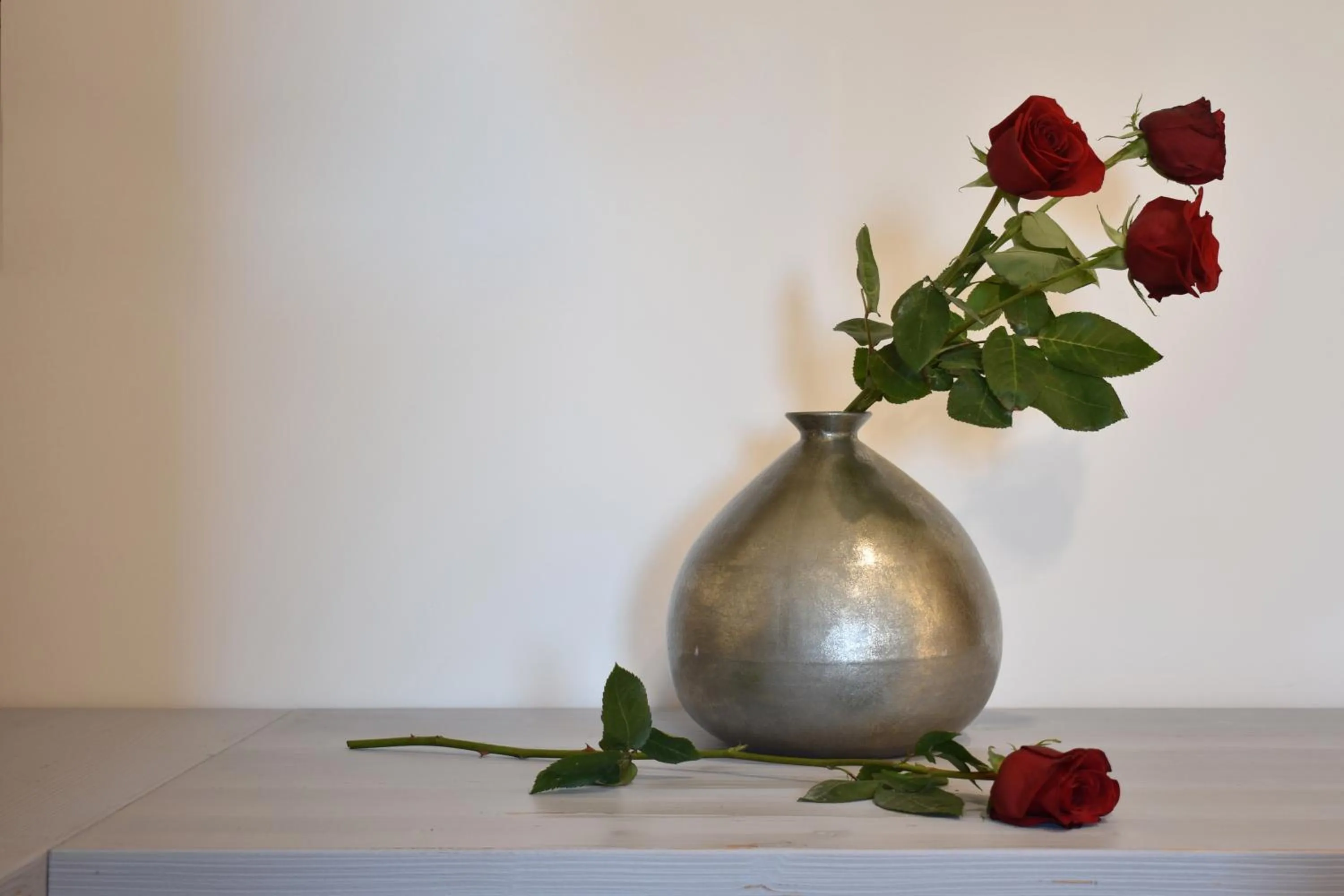 Day in Tenuta Micoli