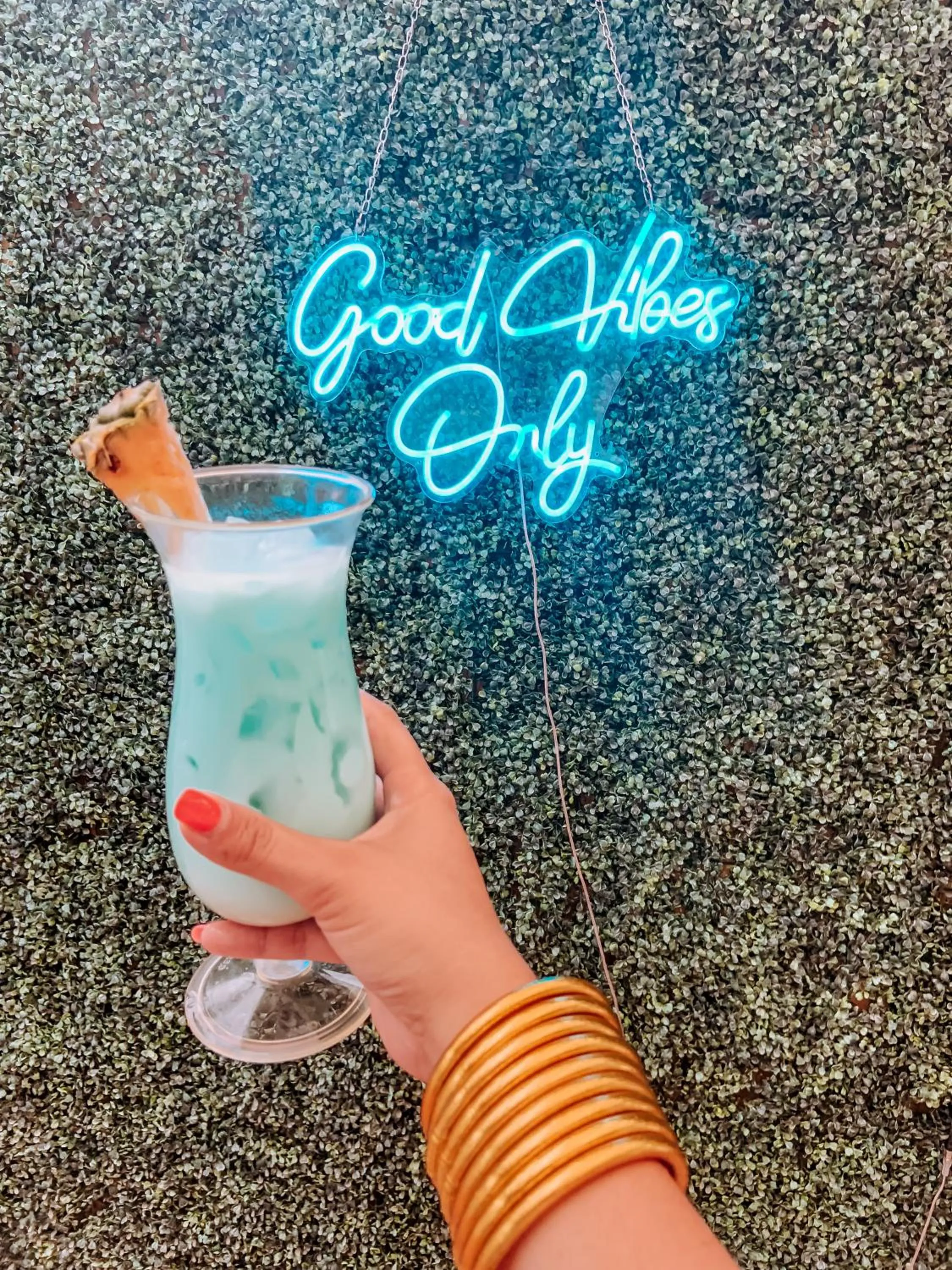 Food and drinks in Aqua Marina Beach Club