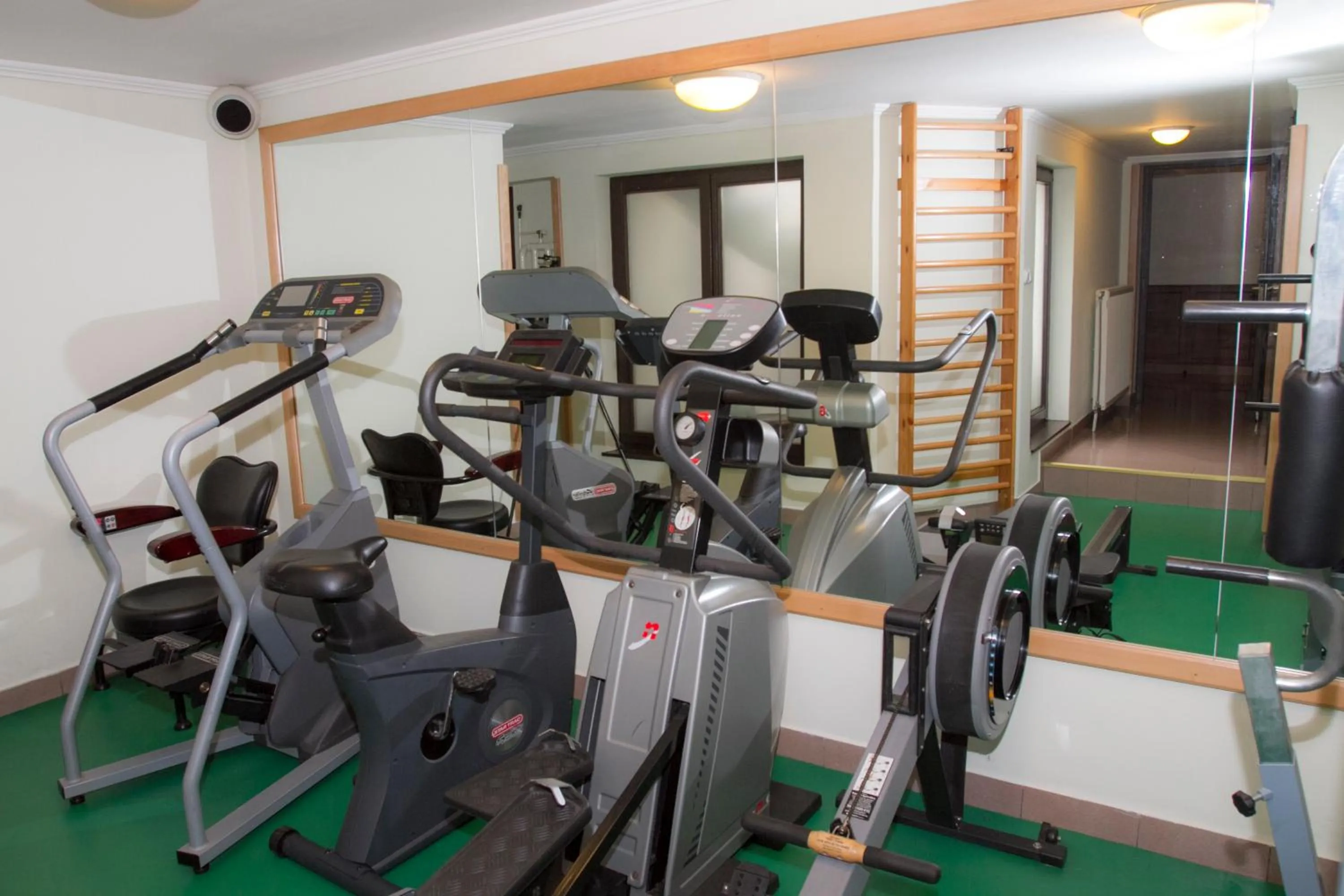 Fitness centre/facilities in Hotel Molnár