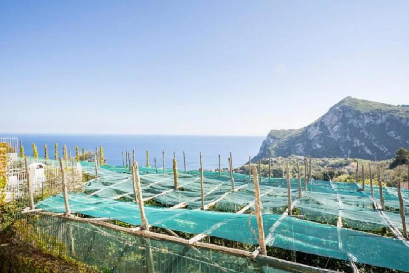 View (from property/room) in Villa Mariel Suites & Apartment