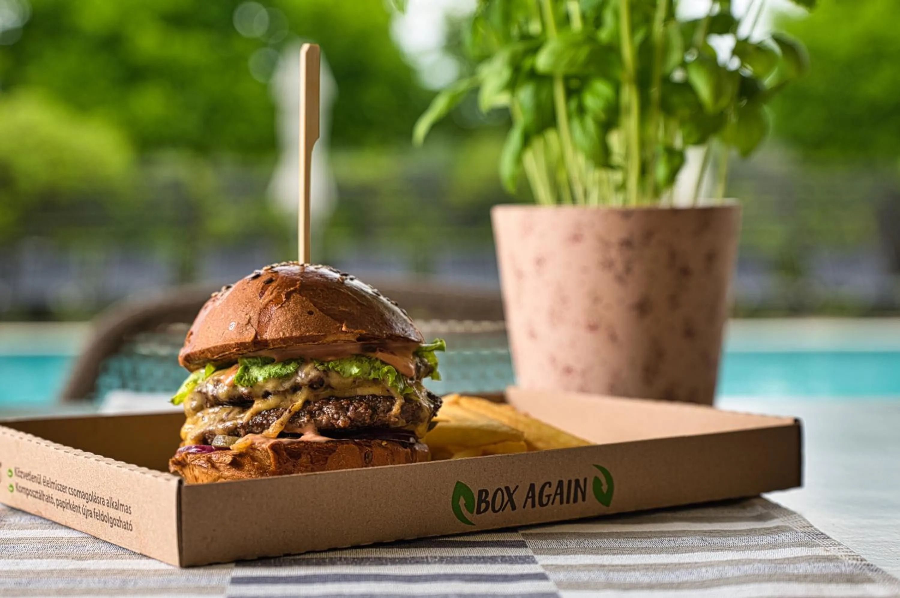 BBQ facilities in Tisza Balneum Hotel