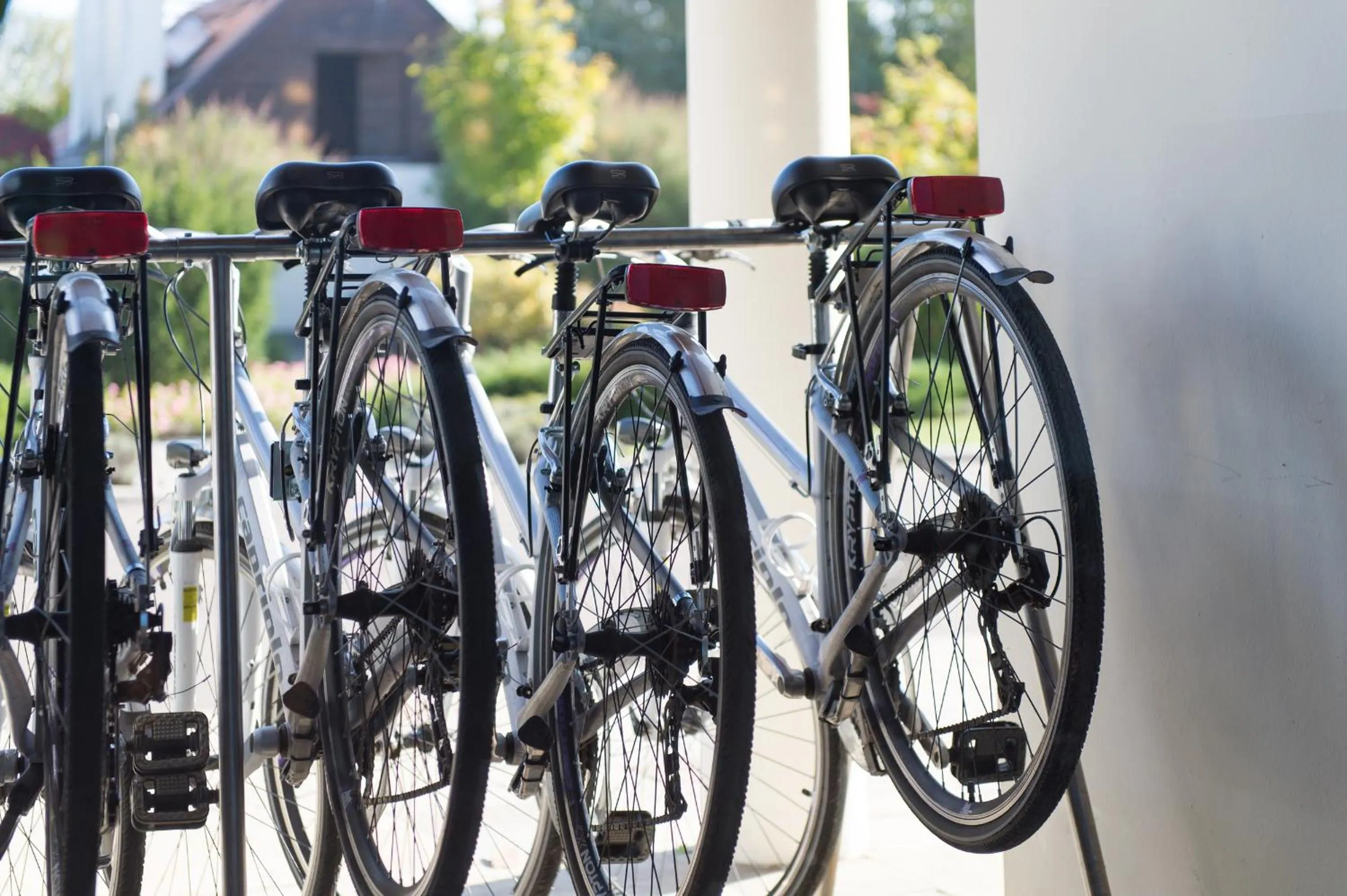 Activities in Tisza Balneum Hotel