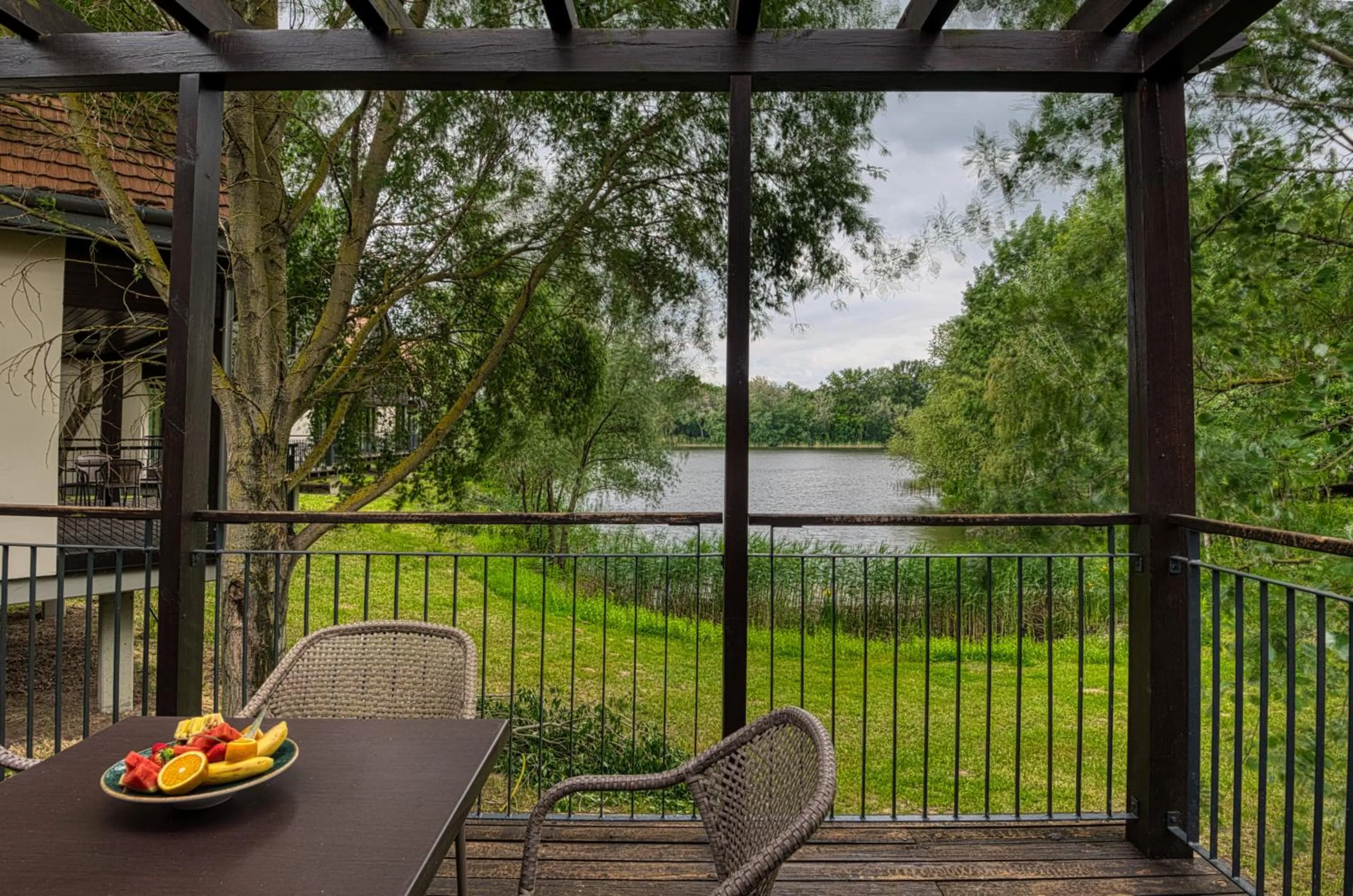 Balcony/Terrace in Tisza Balneum Hotel