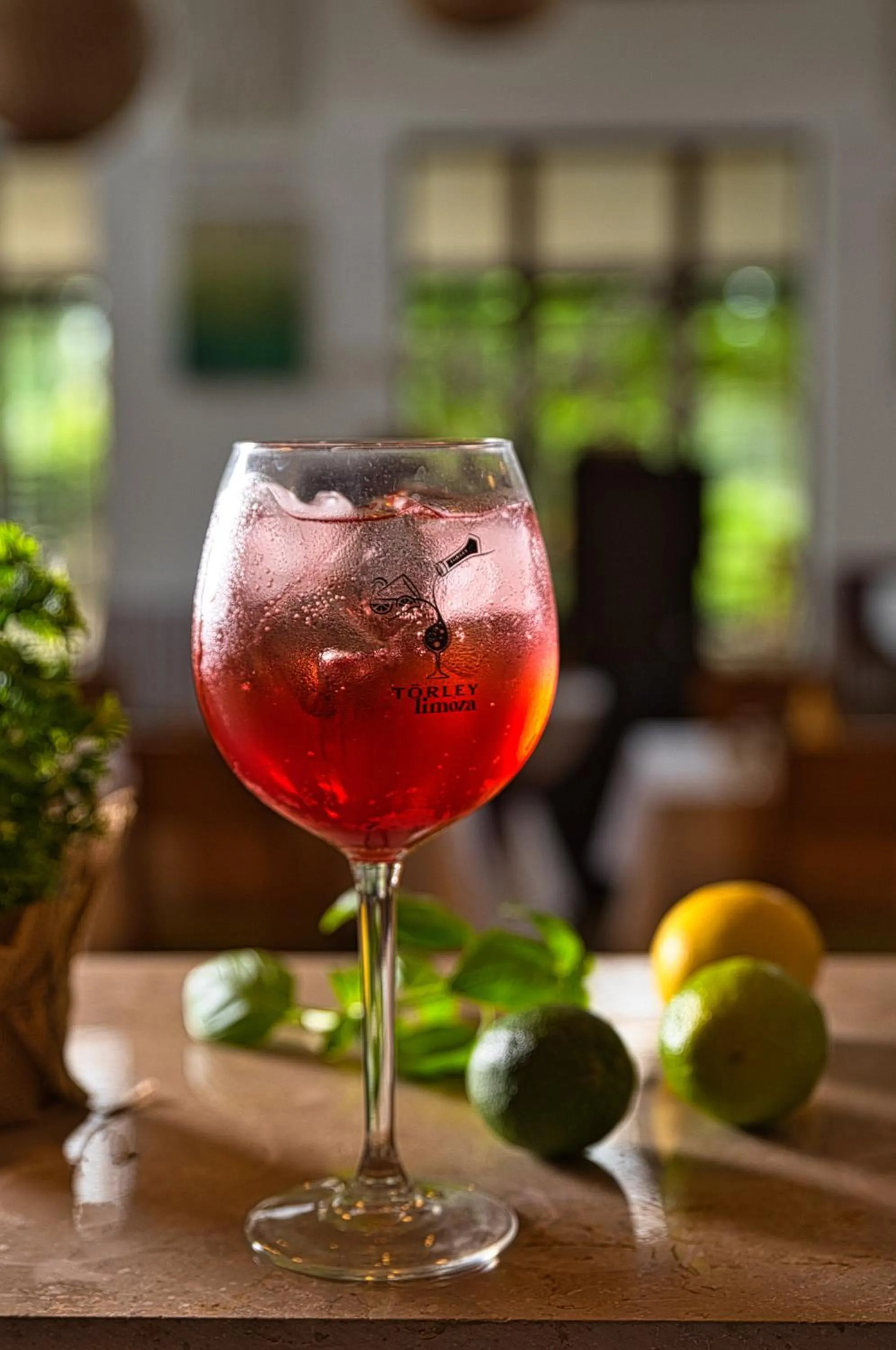 Drinks in Tisza Balneum Hotel