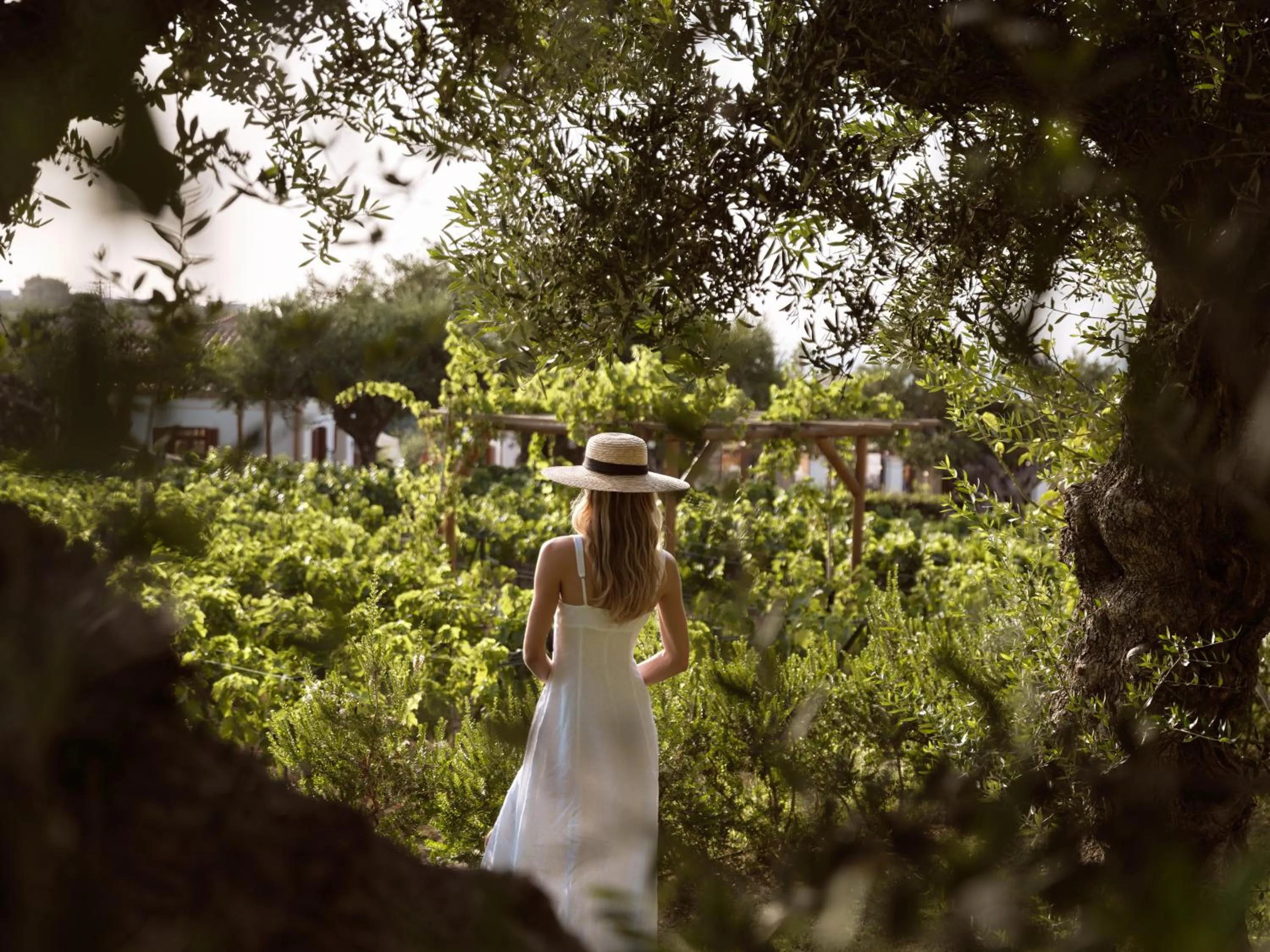 Garden in Lesante Cape - The Leading Hotels of the World
