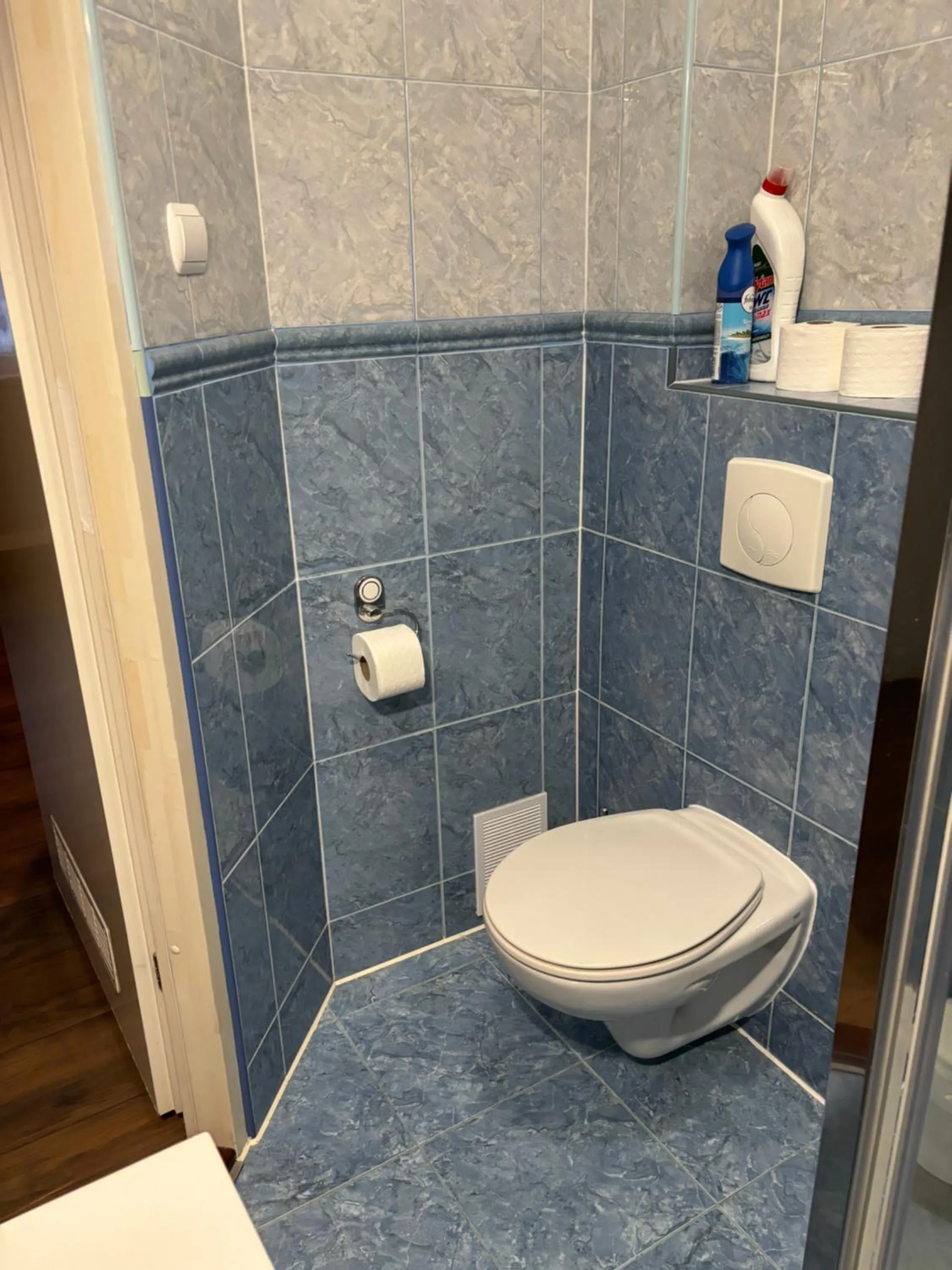 Toilet in Dom Pod Sosną