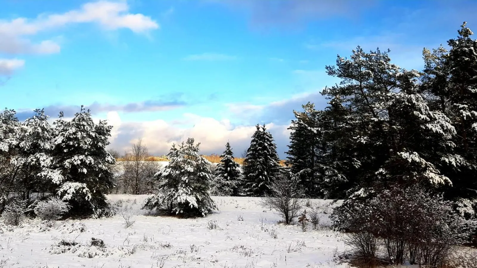 Natural landscape in Dom Pod Sosną