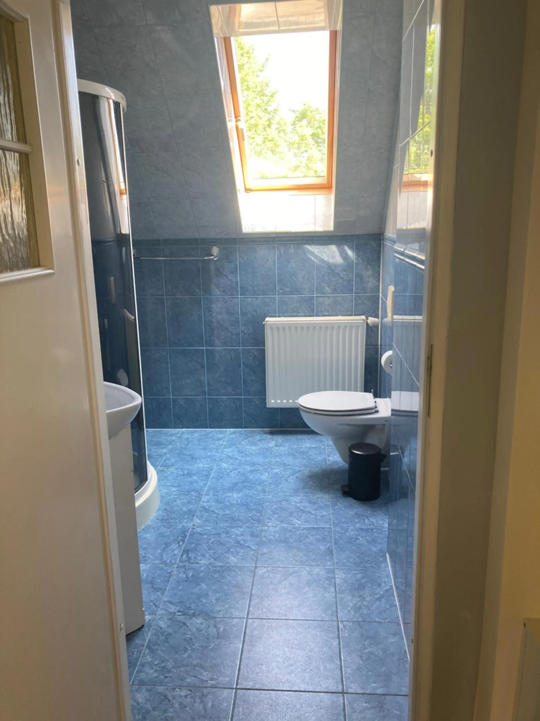 Toilet in Dom Pod Sosną