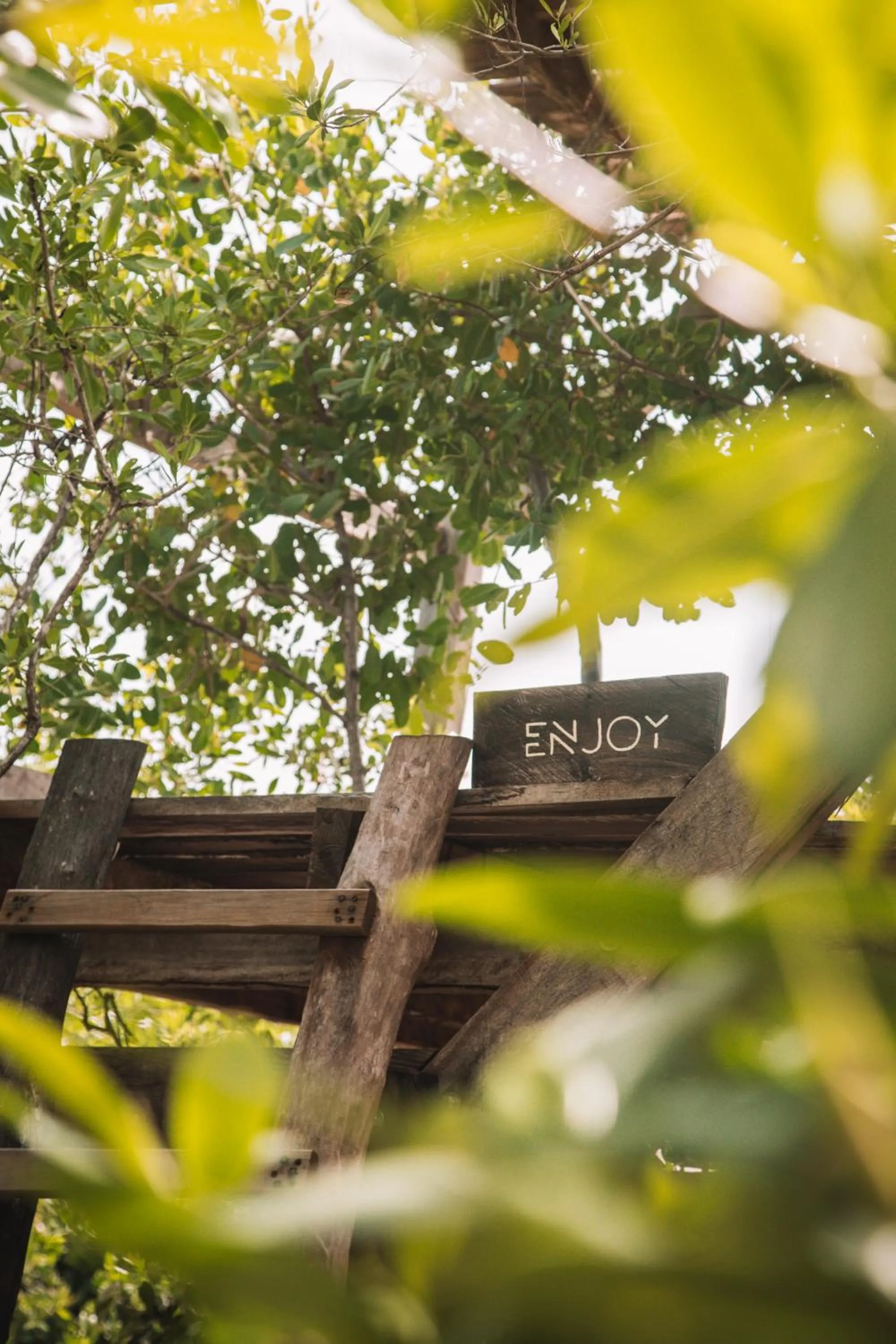 Day in Uman Glamping & Cenote Tulum