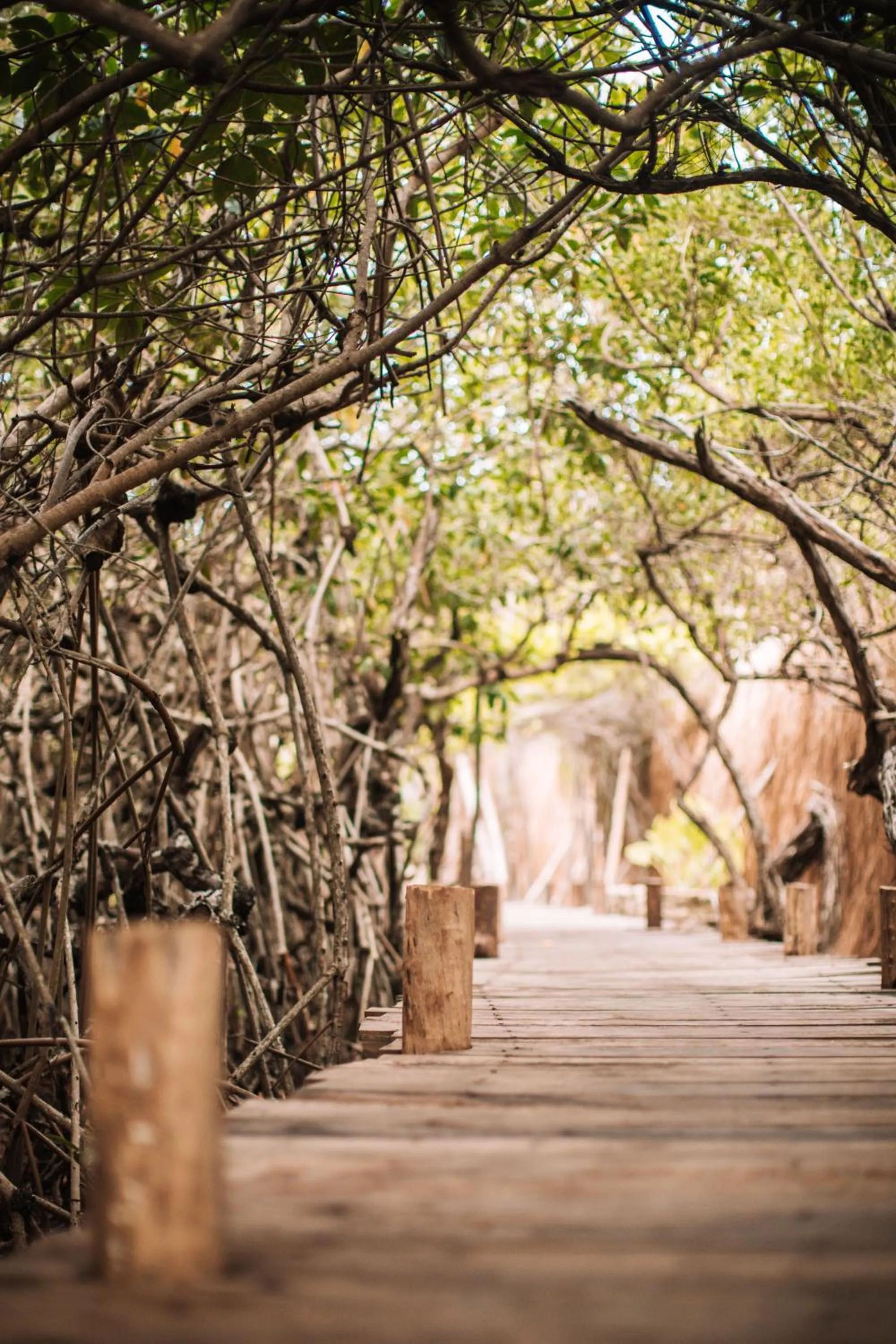Patio in Uman Glamping & Cenote Tulum