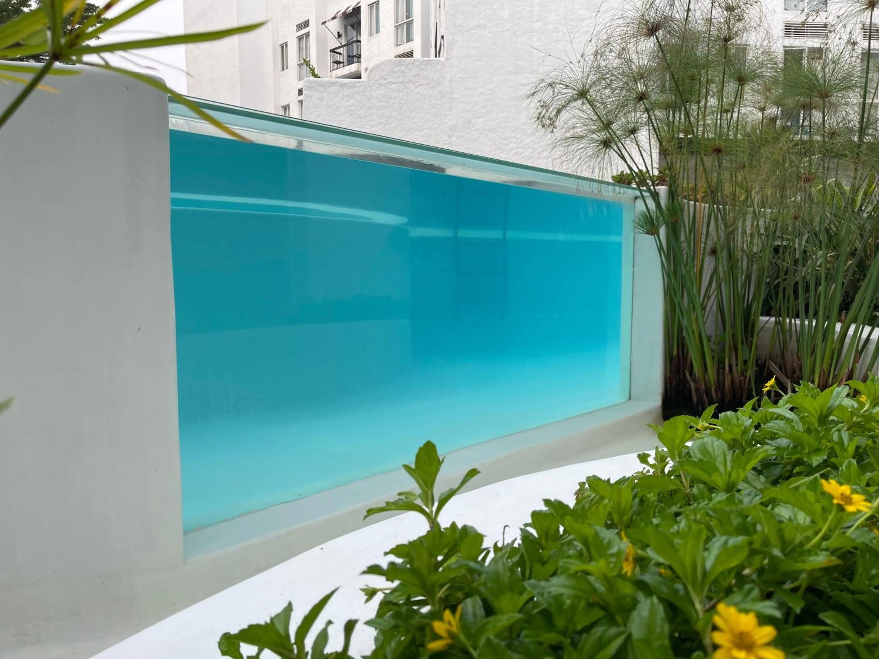 Swimming pool in Casa Ayesha Sweet Staycation at La Bella Tagaytay