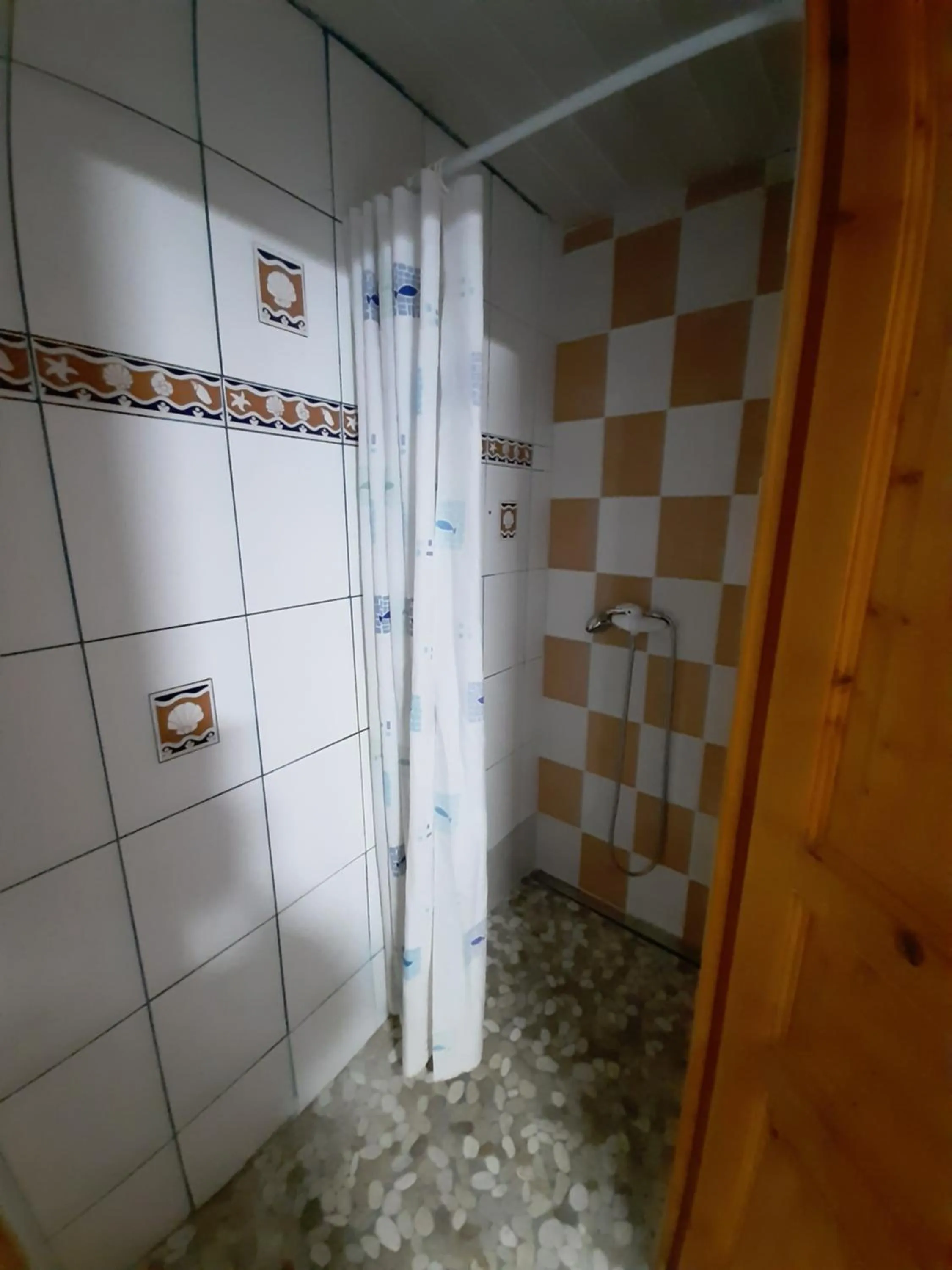 Shower in GITE AUBERGE EDELWEISS