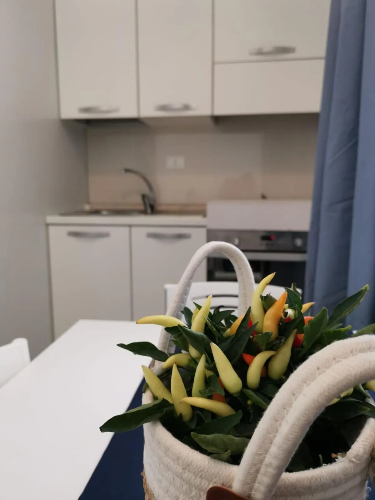 Kitchen or kitchenette in Al porticciolo