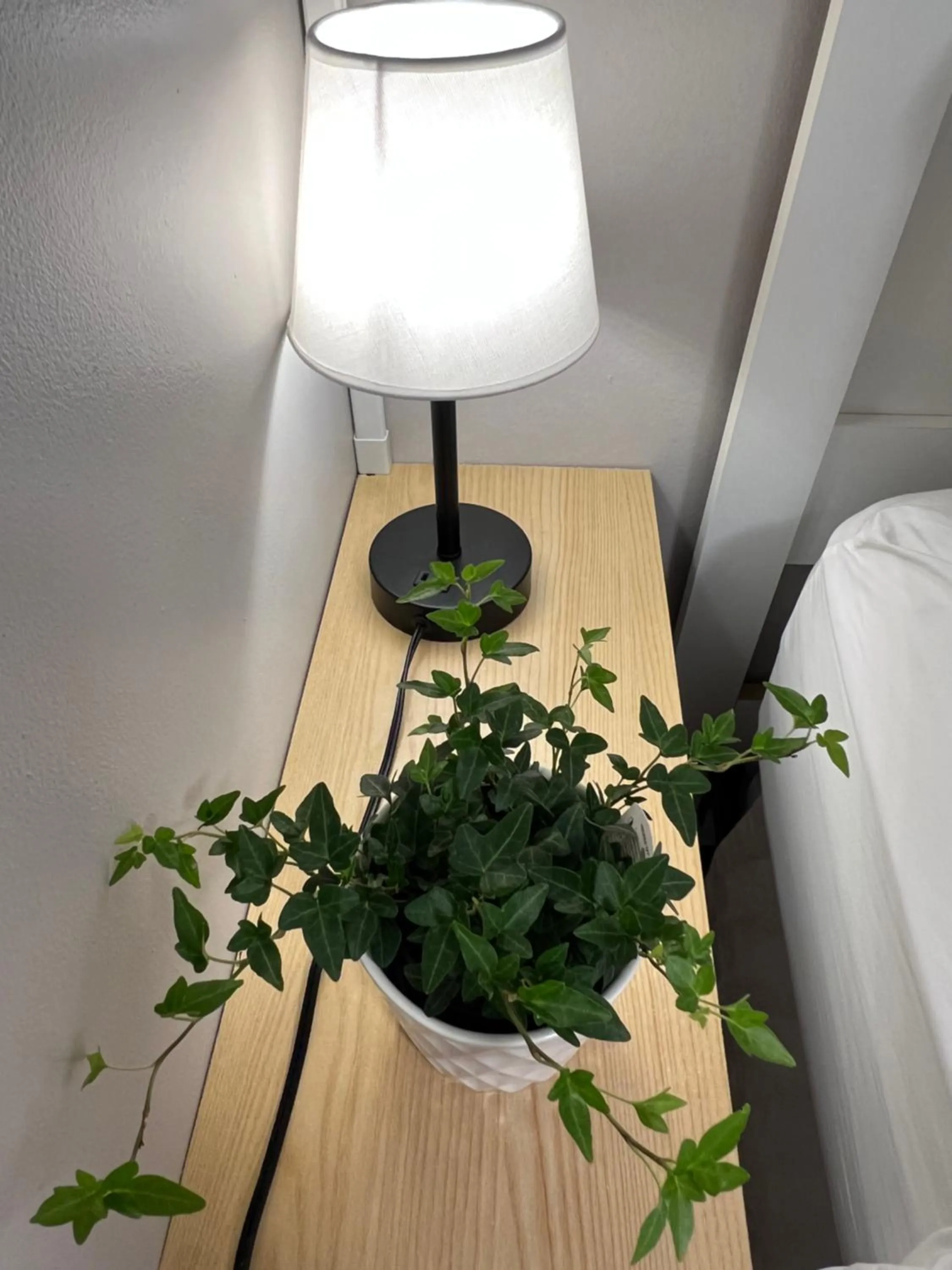 Lee's Ocean Peek B & B