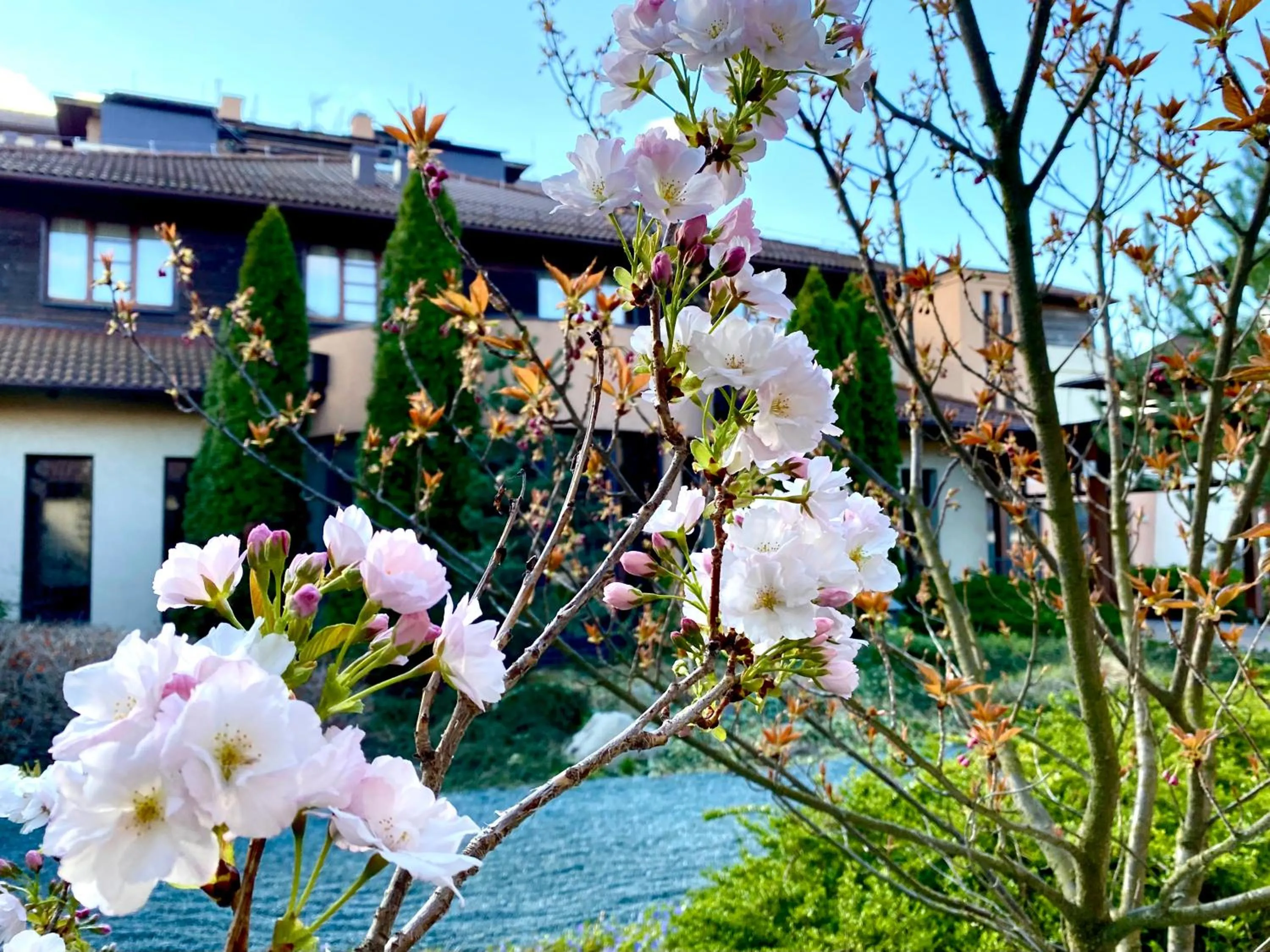 Garden in Caramell Premium Resort