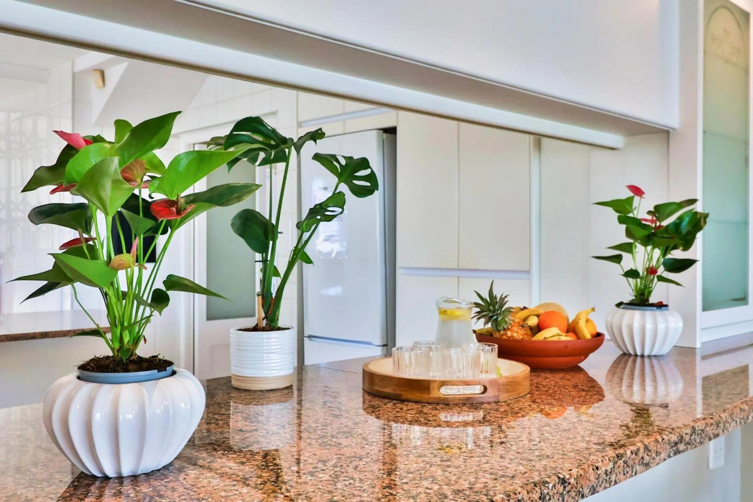 Hermanus Beachfront Lodge - Solar Power