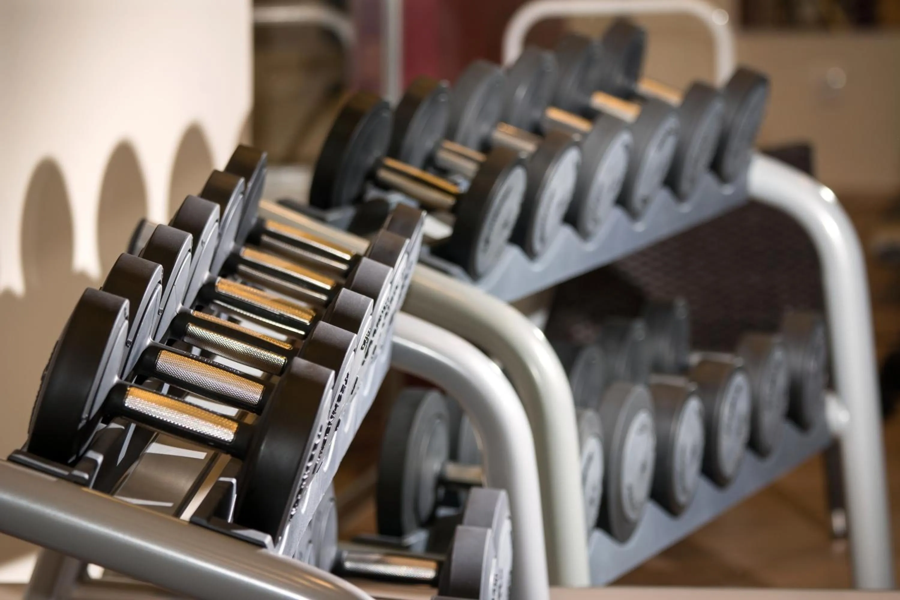 Fitness centre/facilities in Erzsébet Királyné Szálloda