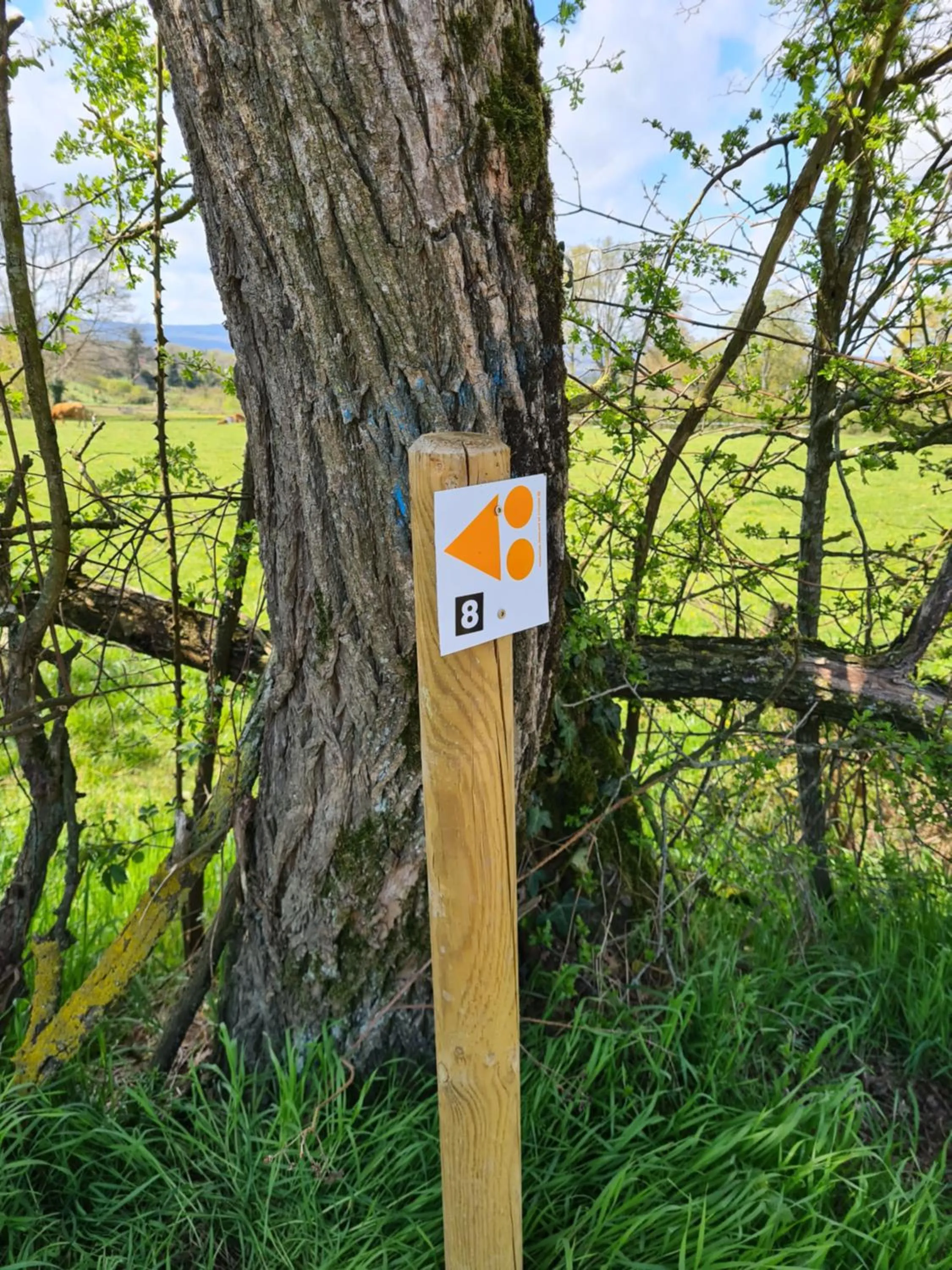 Hiking in L'Eléphant Heureux