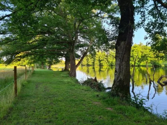 Fishing in L'Eléphant Heureux