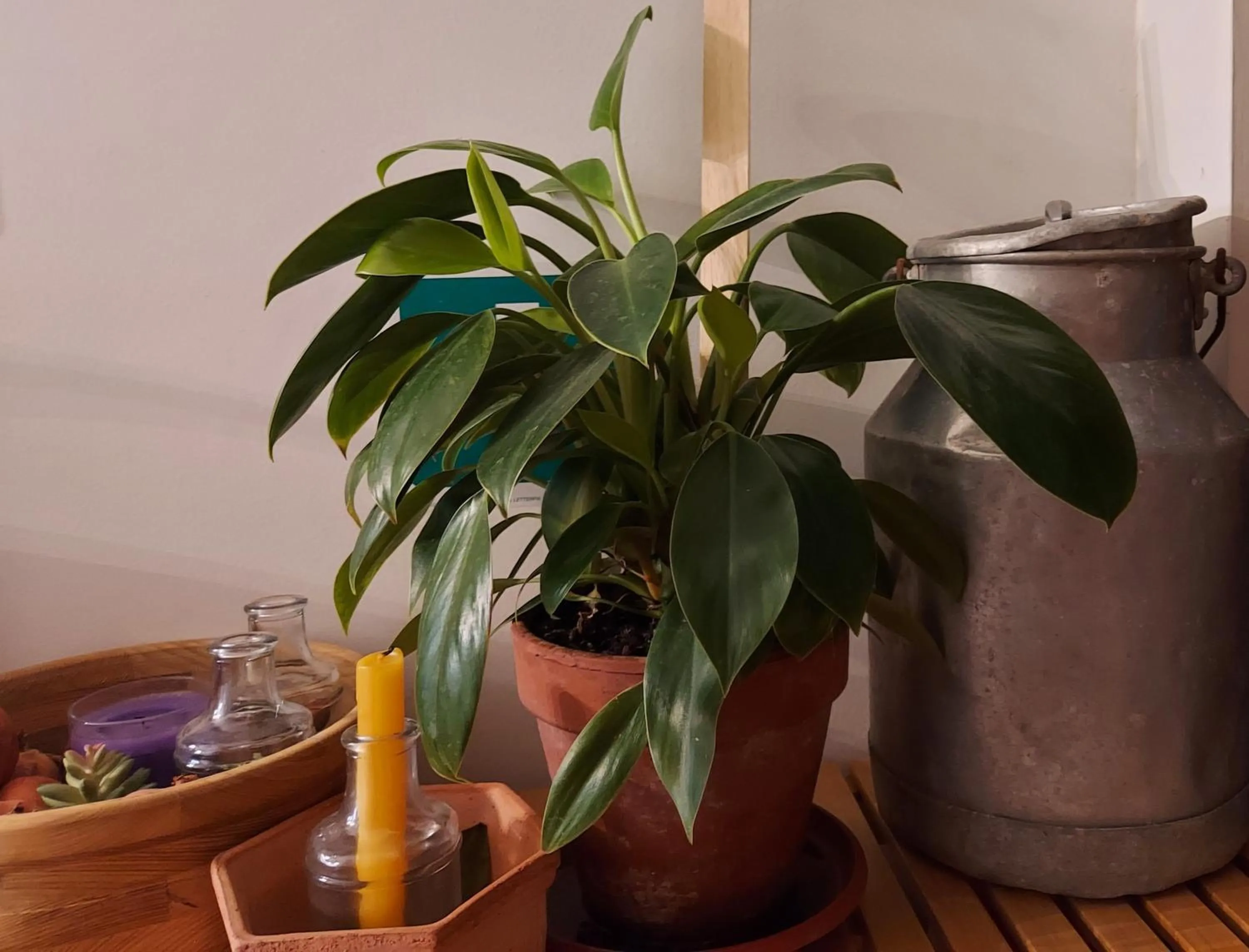 Floor plan in Guesthouse Calvart25