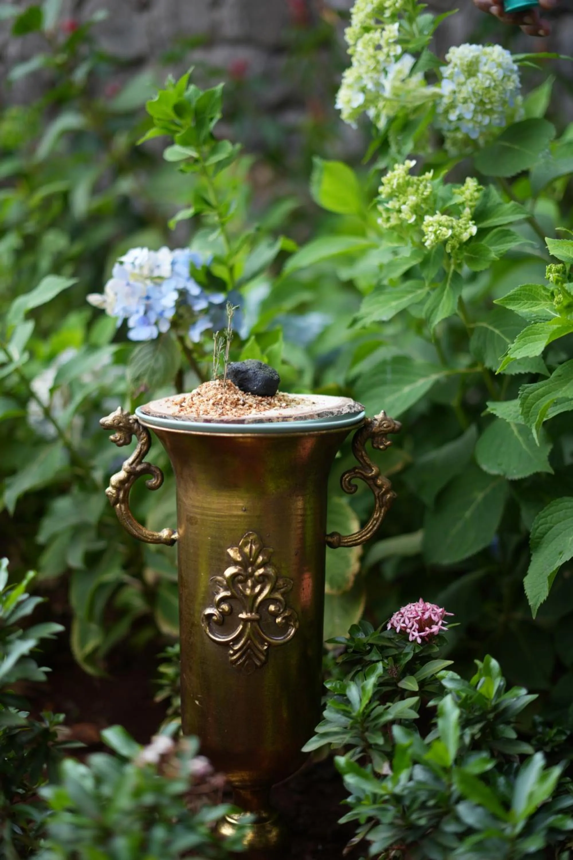 Restaurant/places to eat in Radisson Resort and Spa Lonavala