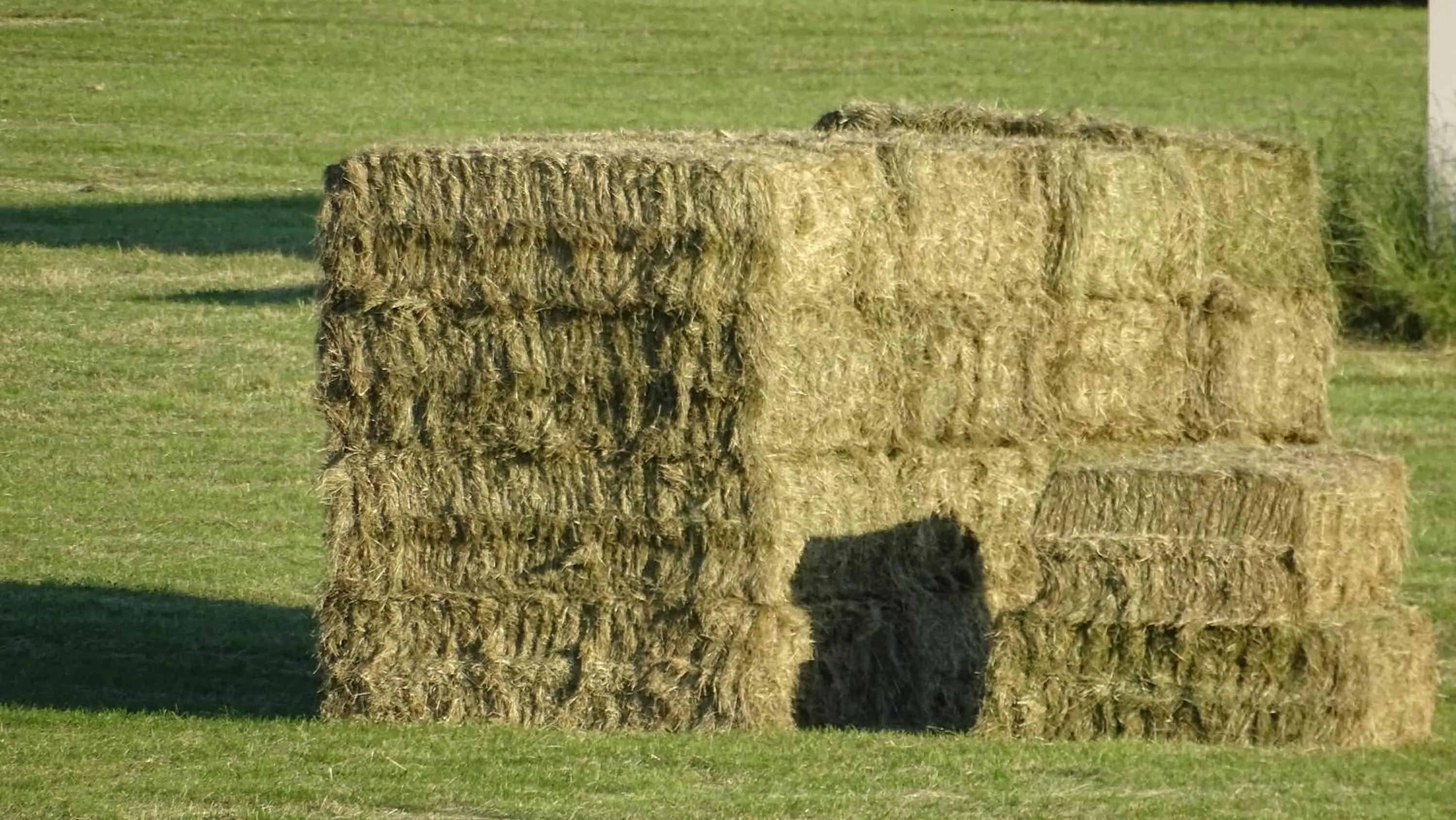 Natural landscape in Heufelder Hof