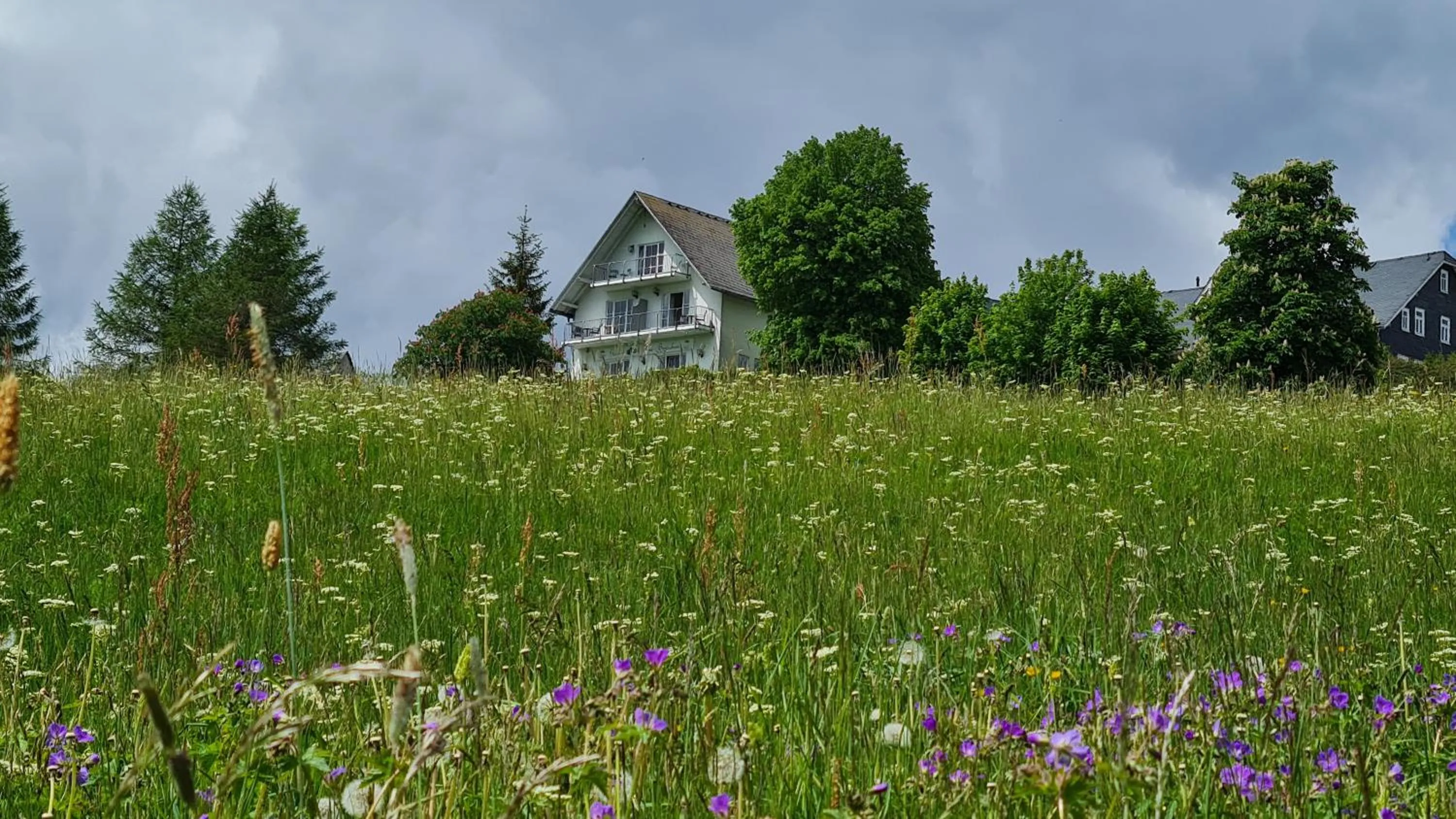 Property building in Pension Breitenborn