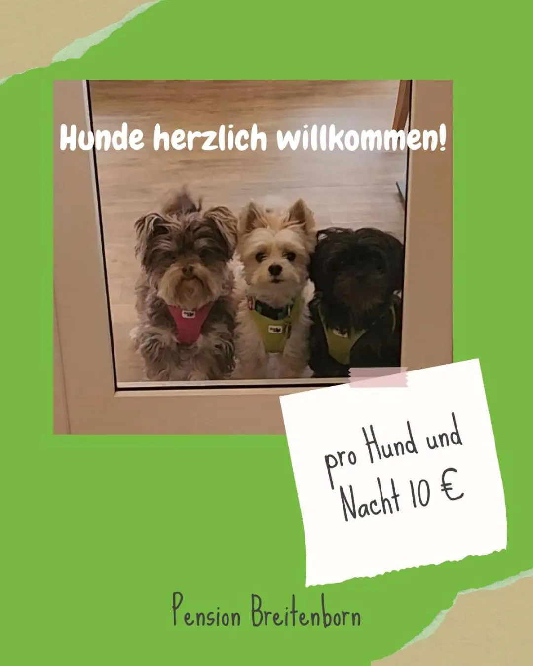 Pets in Pension Breitenborn