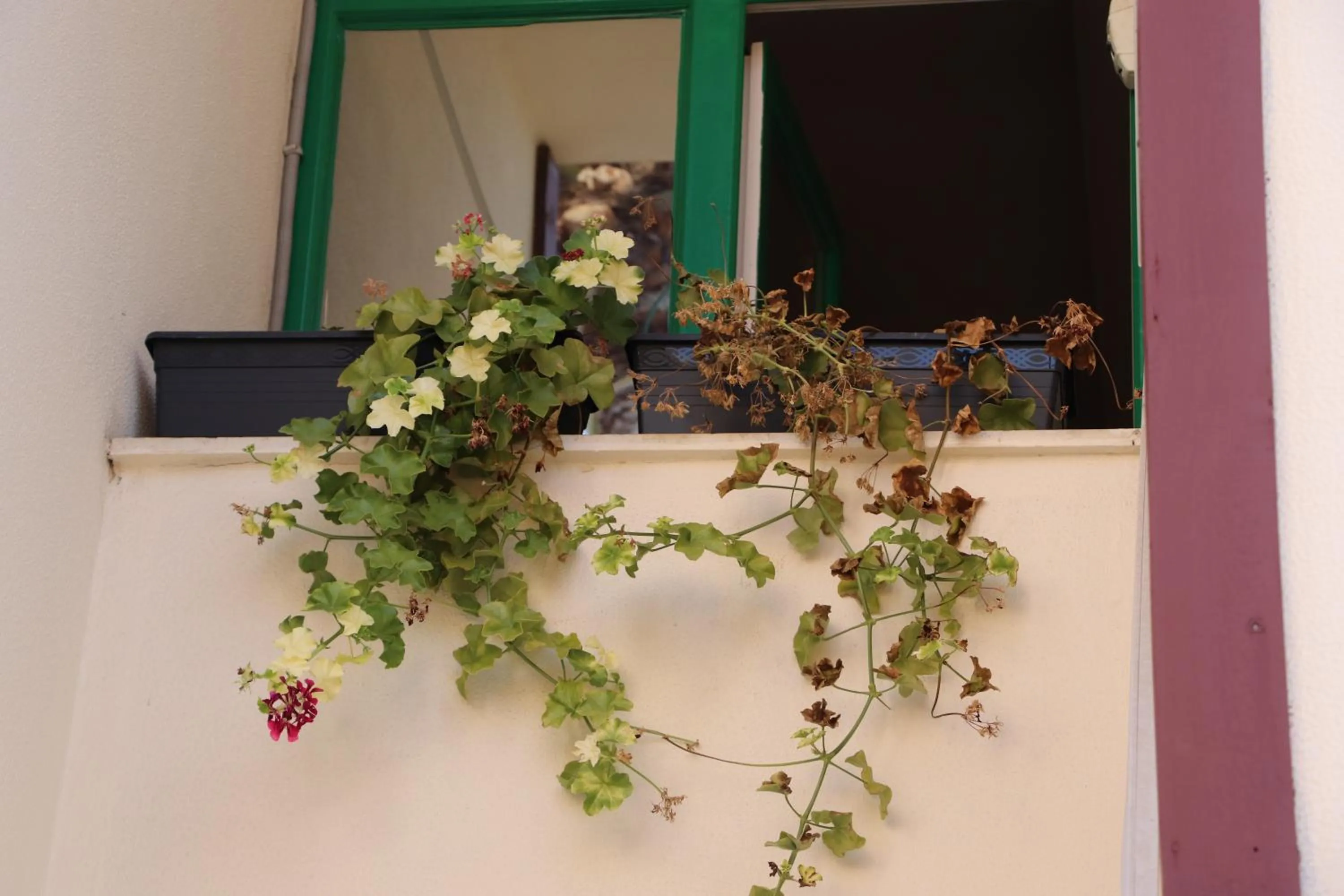 Off site in Tu Casa Linda