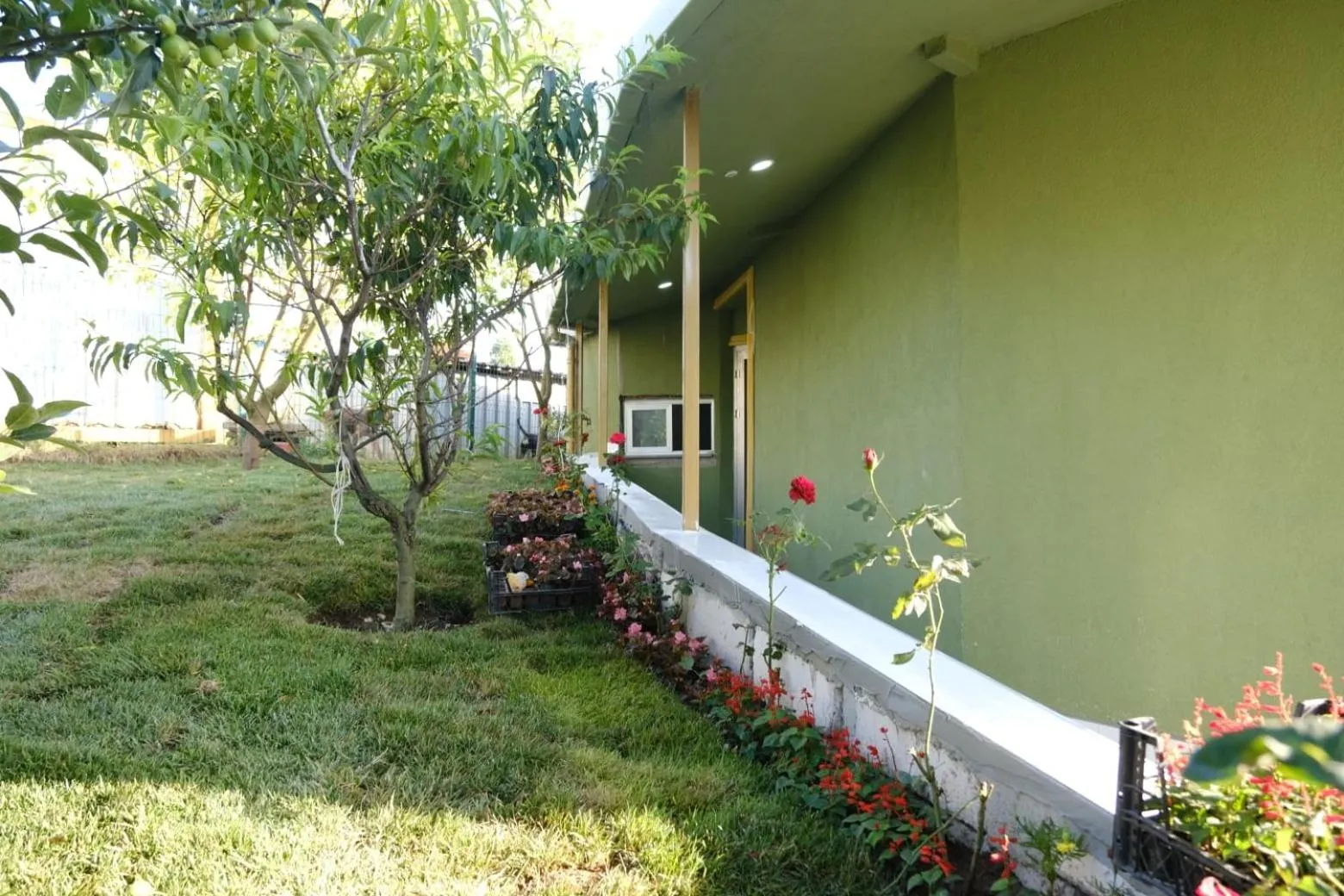 Facade/entrance in FOREST BLUE BEACH OTEL