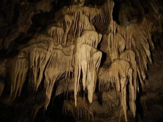 Area and facilities in Hotel Szeleta