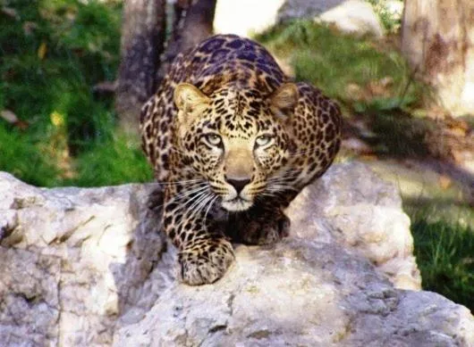 Other in Hotel Szeleta