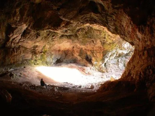 Area and facilities in Hotel Szeleta