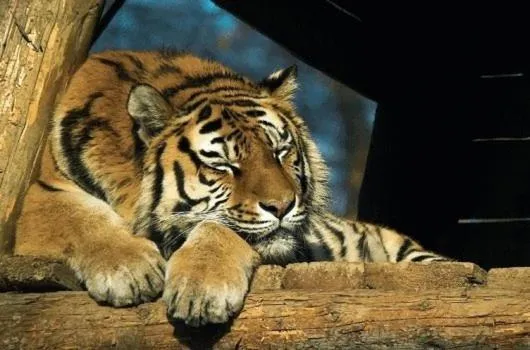 Other in Hotel Szeleta