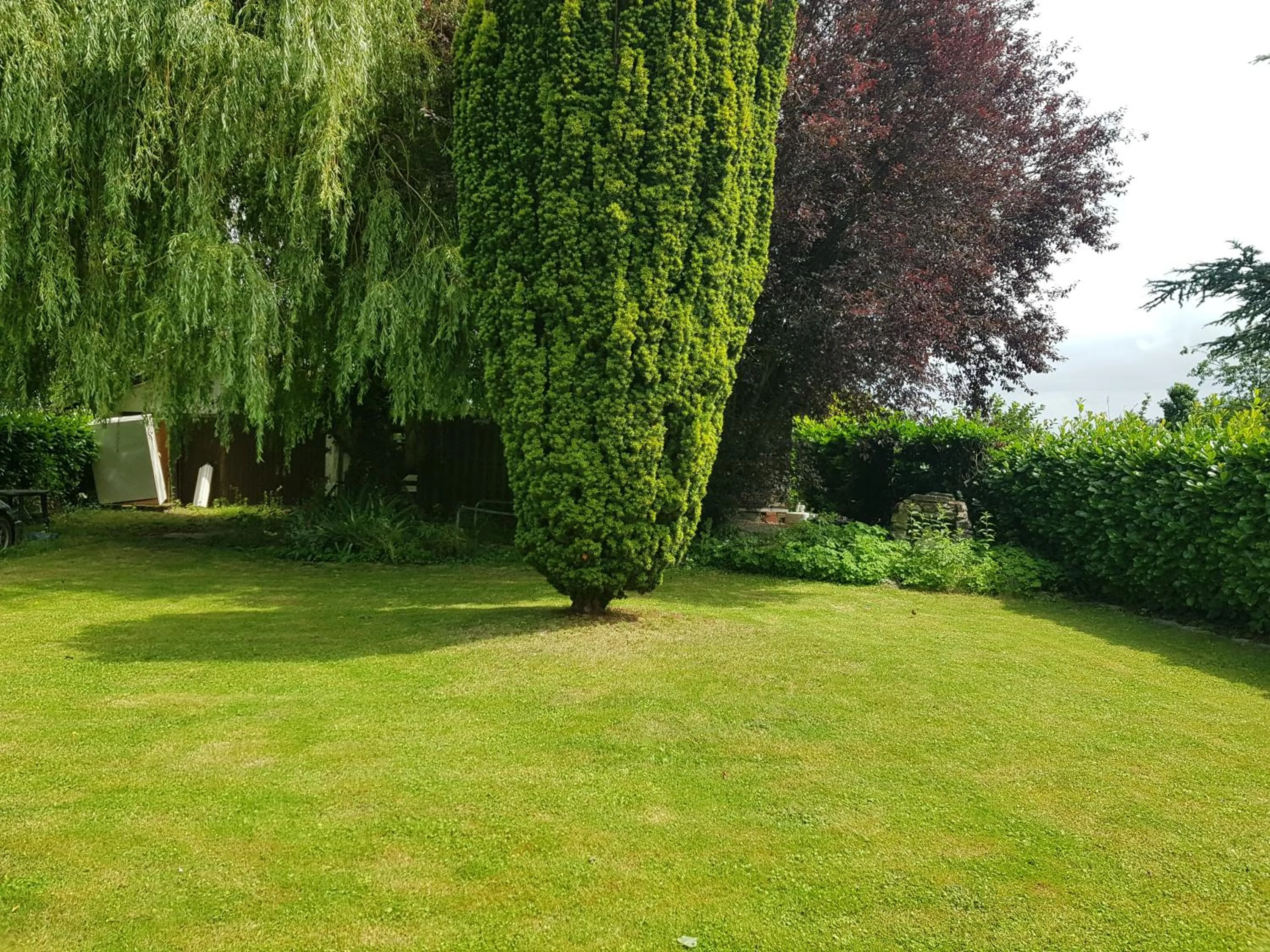 Garden in Mary's Poppies - Bed & Breakfast