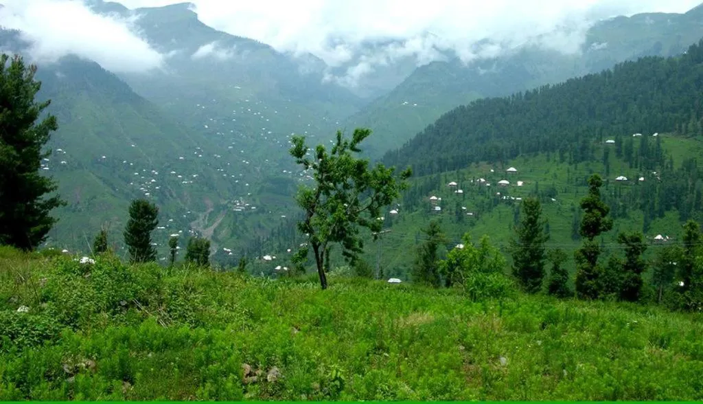 Hotel Deewan-E-Aziz Internationa