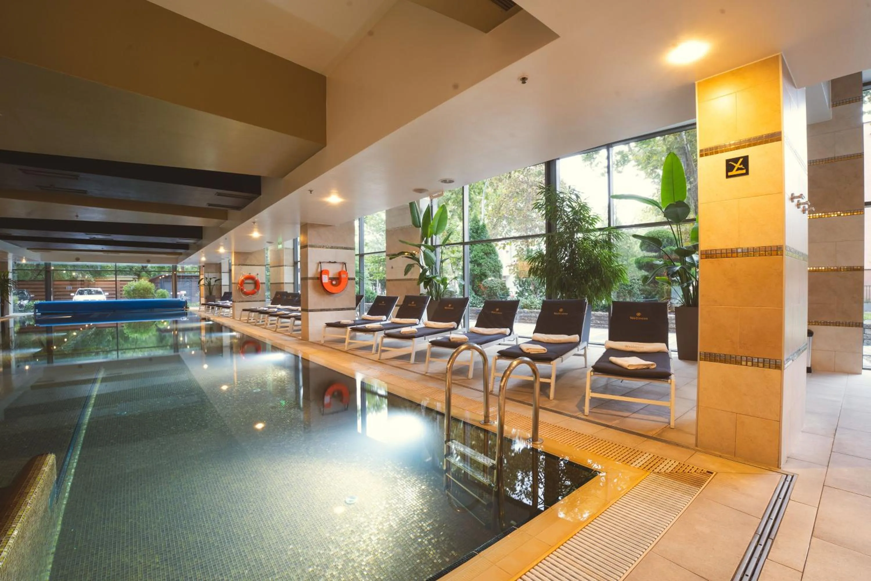 Swimming pool in Hotel Divinus