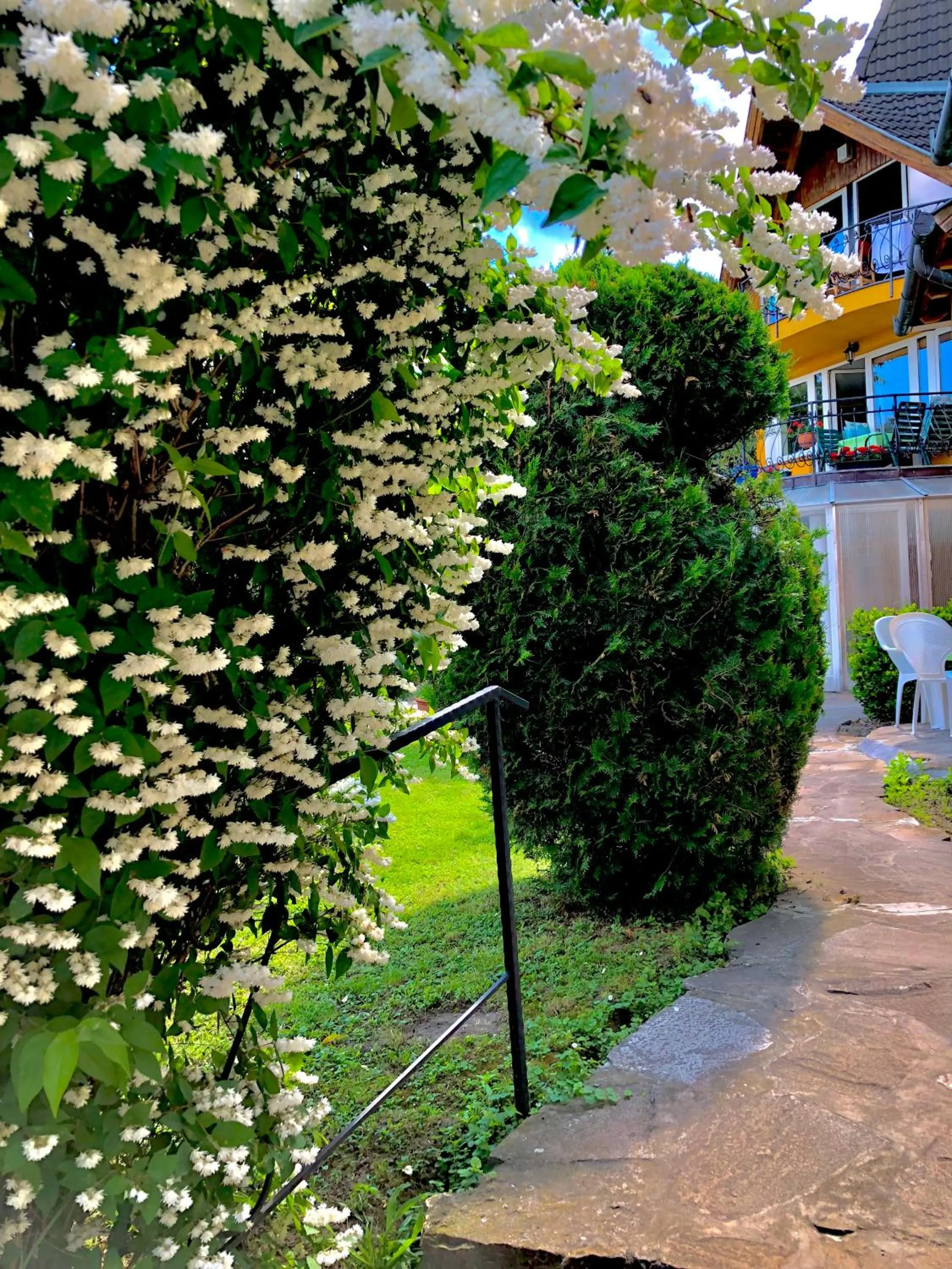 Garden in Appartementhaus 5. Jahreszeit