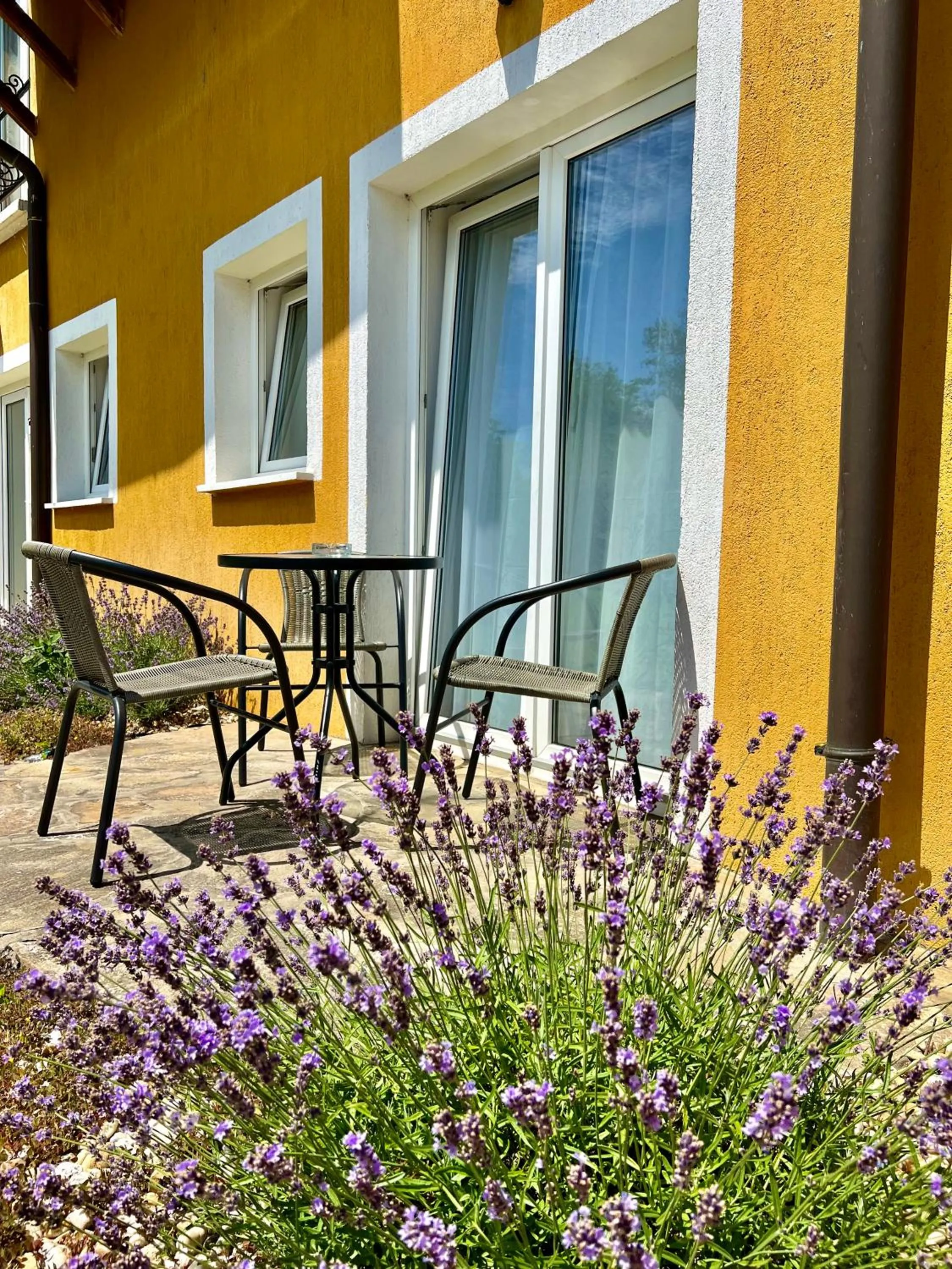 Garden in Appartementhaus 5. Jahreszeit