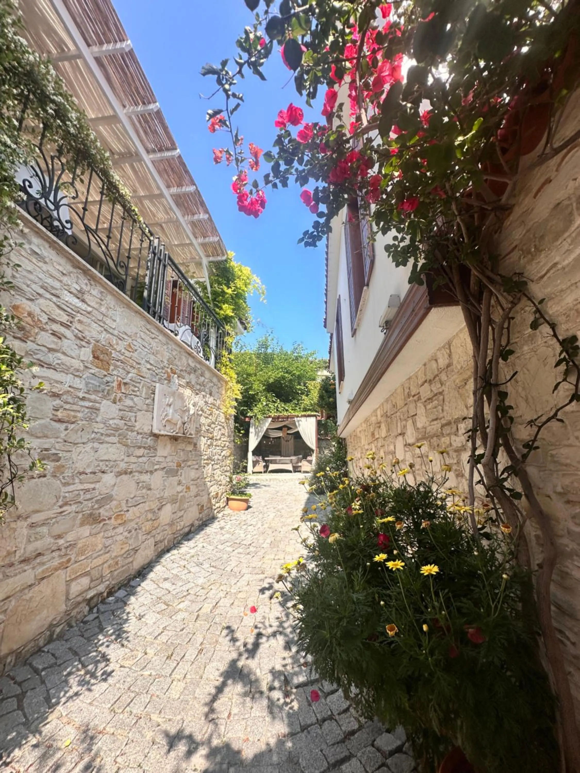 Day in Villa Ephesus Hotel