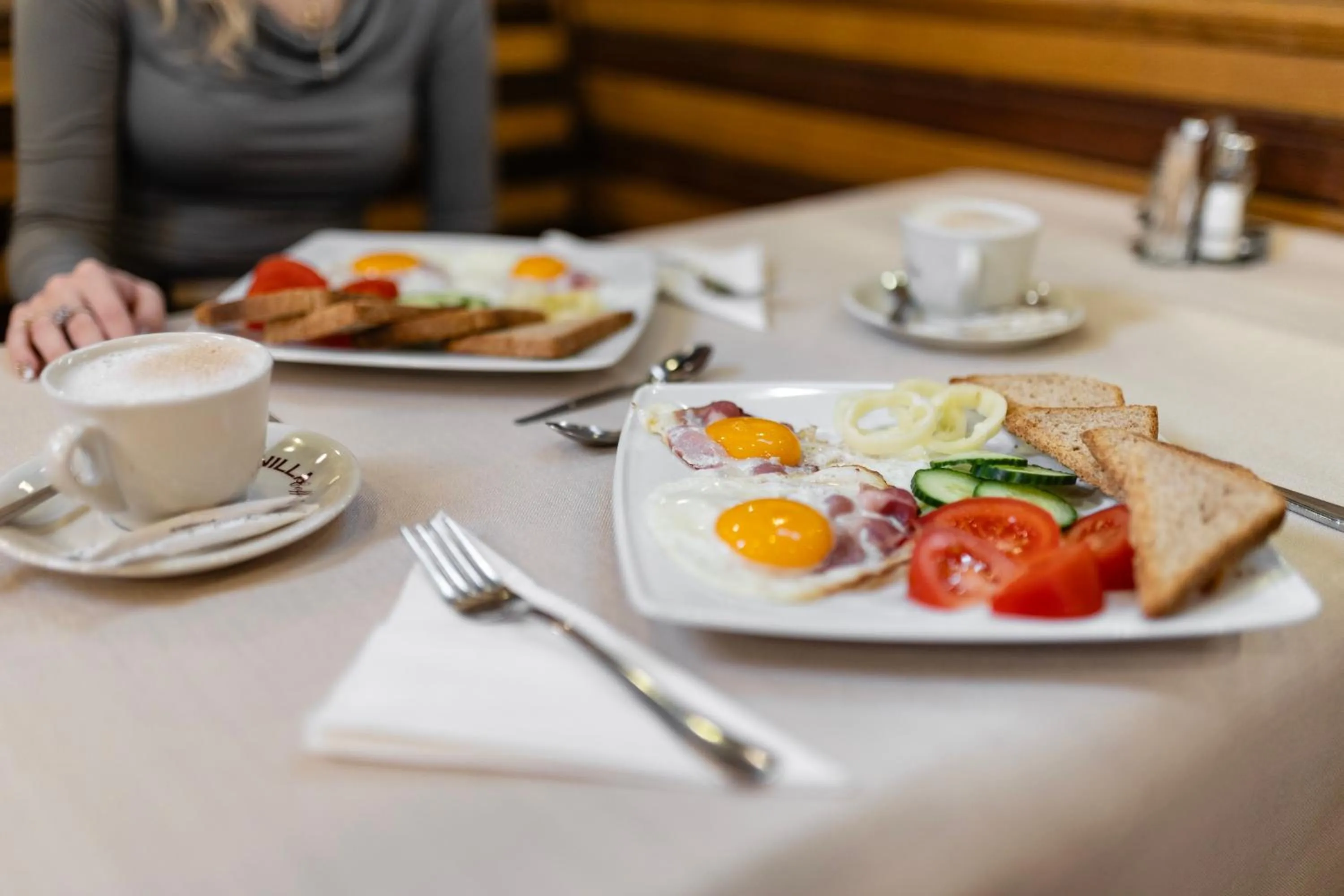 Restaurant/places to eat in Hotel Pannonia