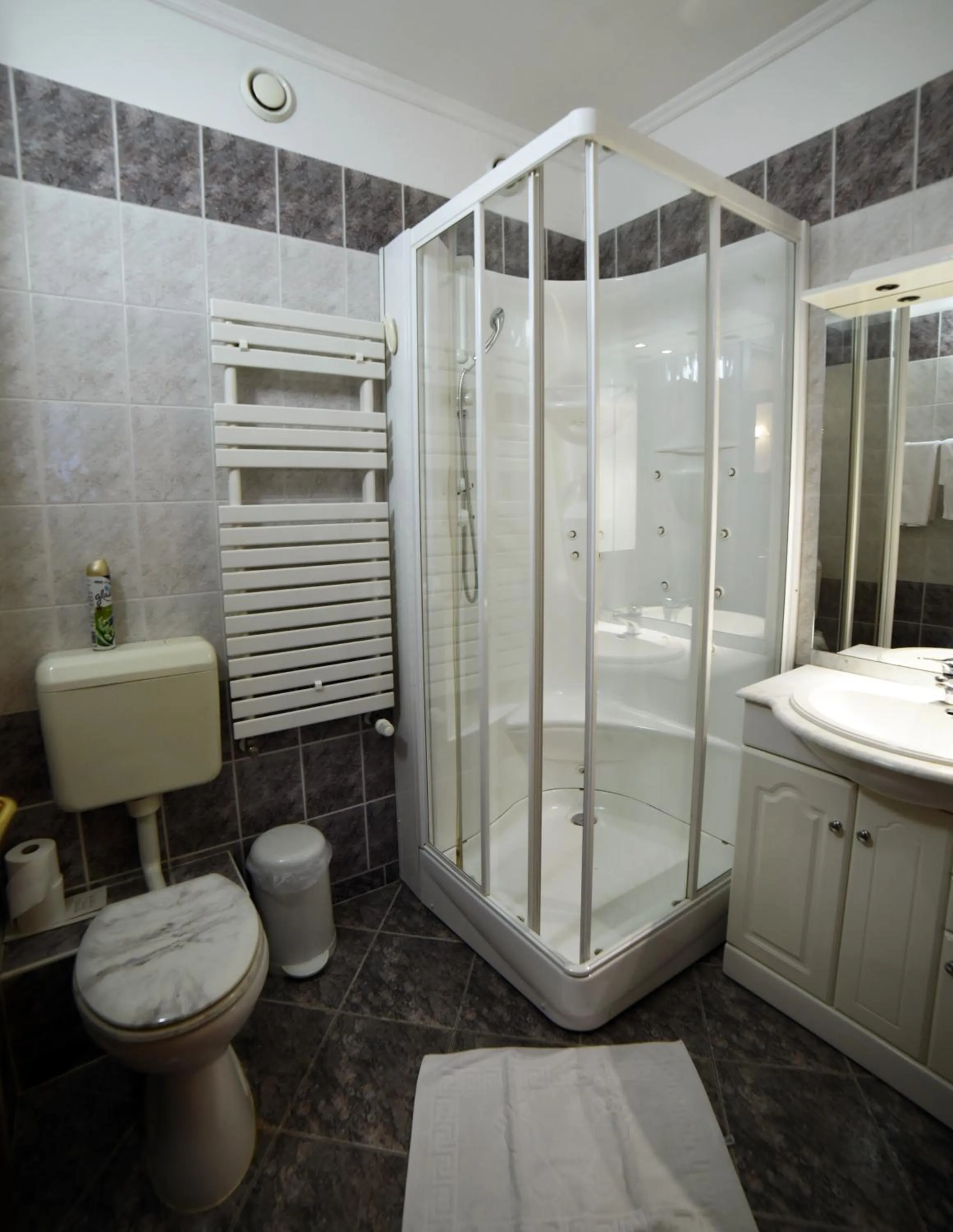 Shower in Hotel Pannonia