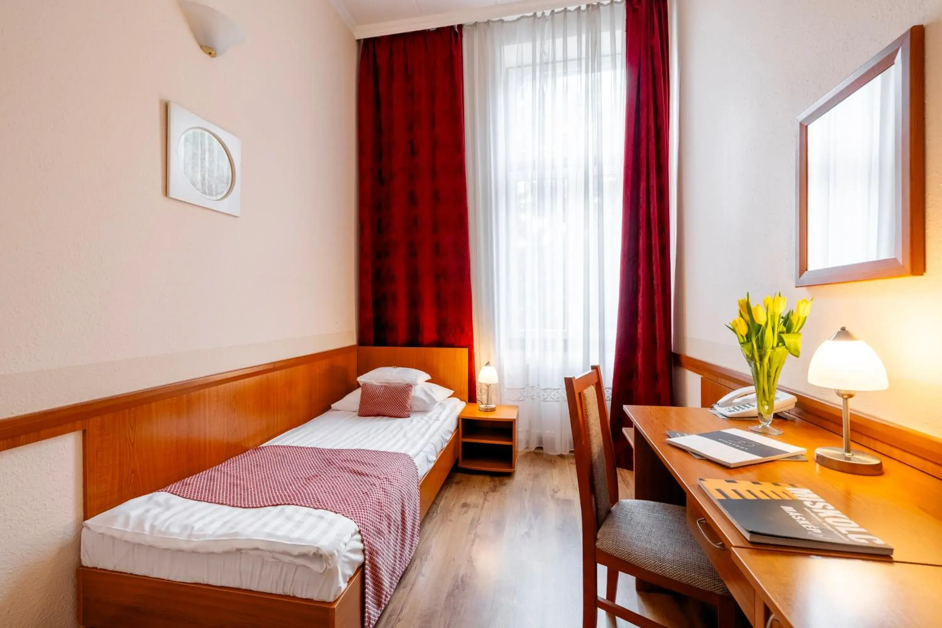 Single Room - single occupancy in Hotel Pannonia Single Room - single occupancy in Hotel Pannonia