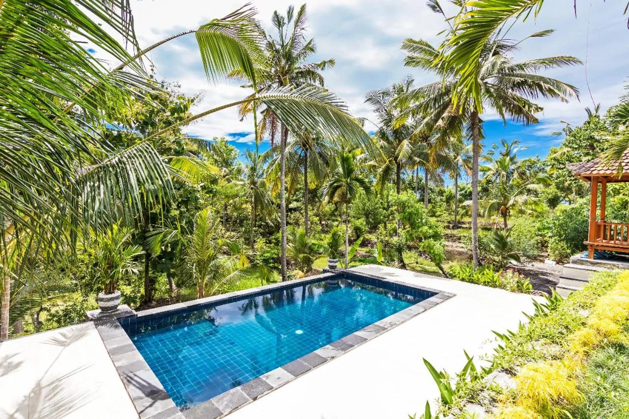 Natural landscape in Kelingking Mesari Villa and Spa