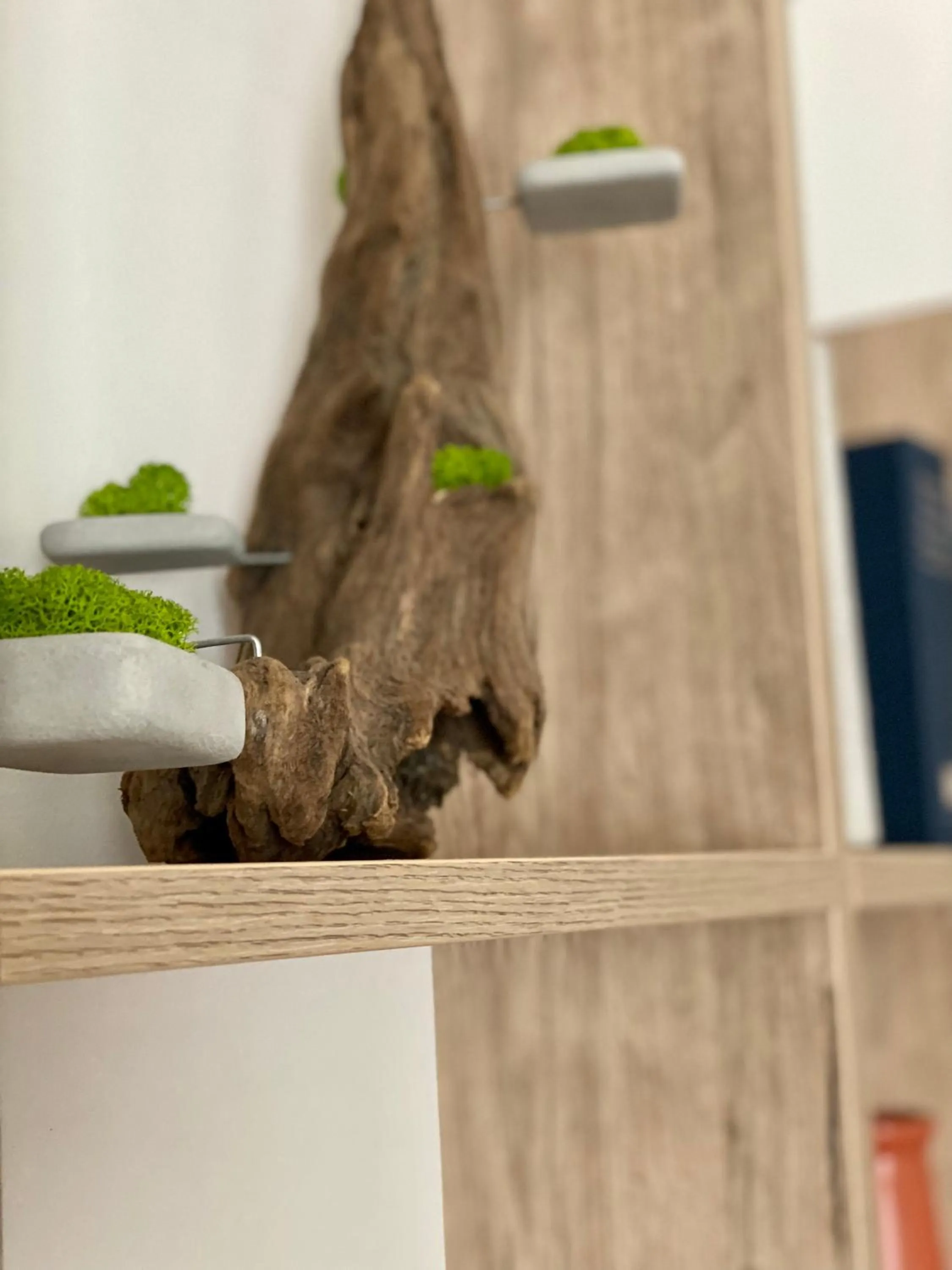 Decorative detail in B&B Monteverdi L'Arancio