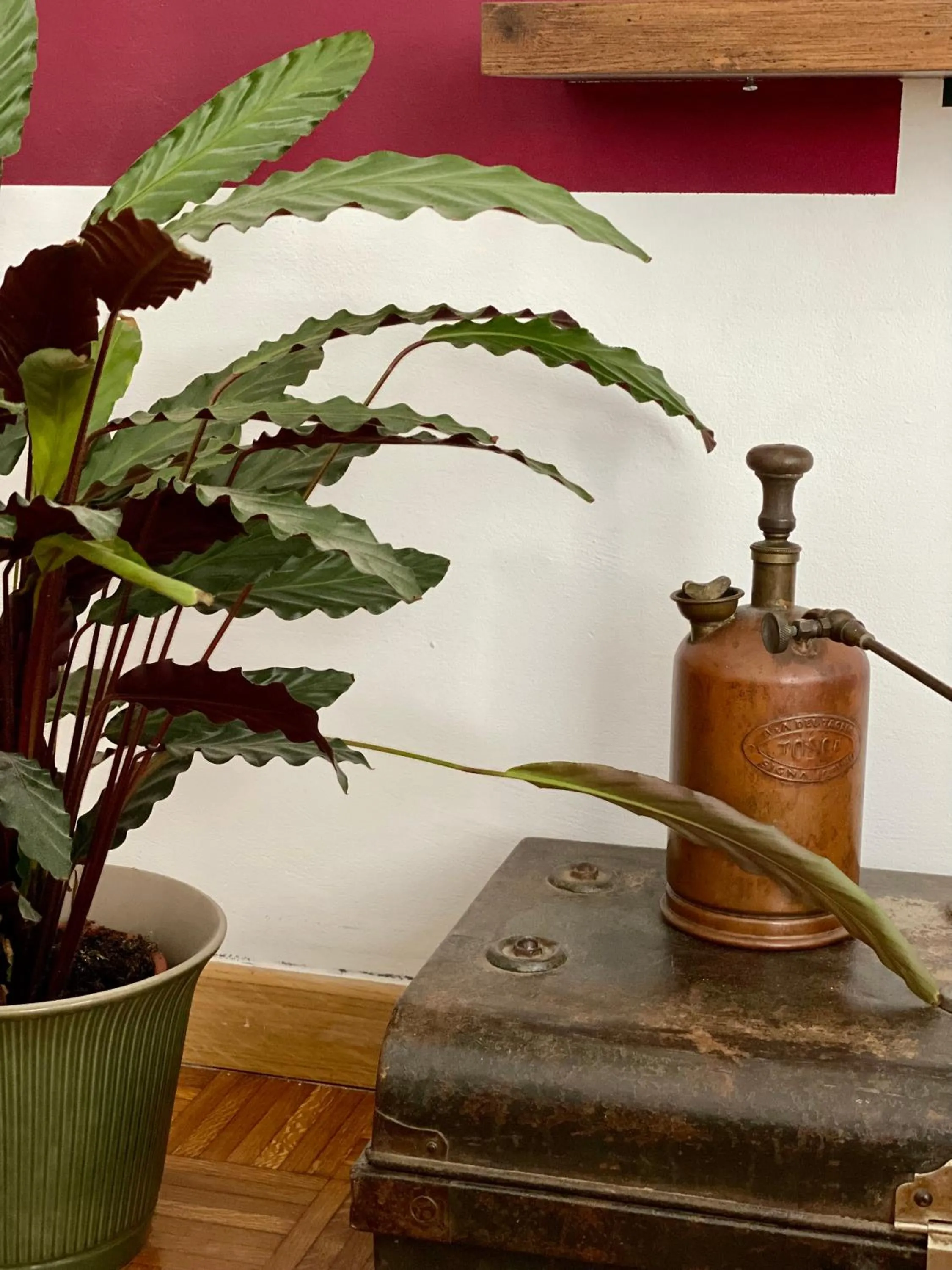 Decorative detail in B&B Monteverdi L'Arancio